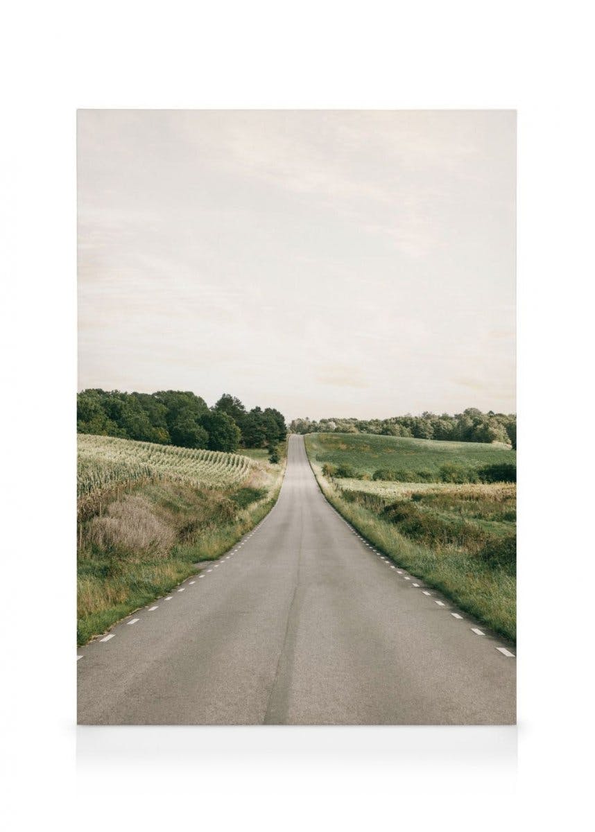 The Long Way Obraz na płótnie (50x70 cm) - Poster Store