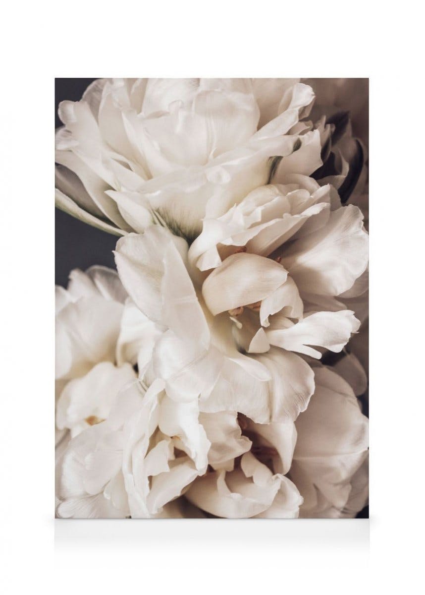 Peonies in Bloom Canvas (30x40 cm - Fotolijst Zwart) - Poster Store