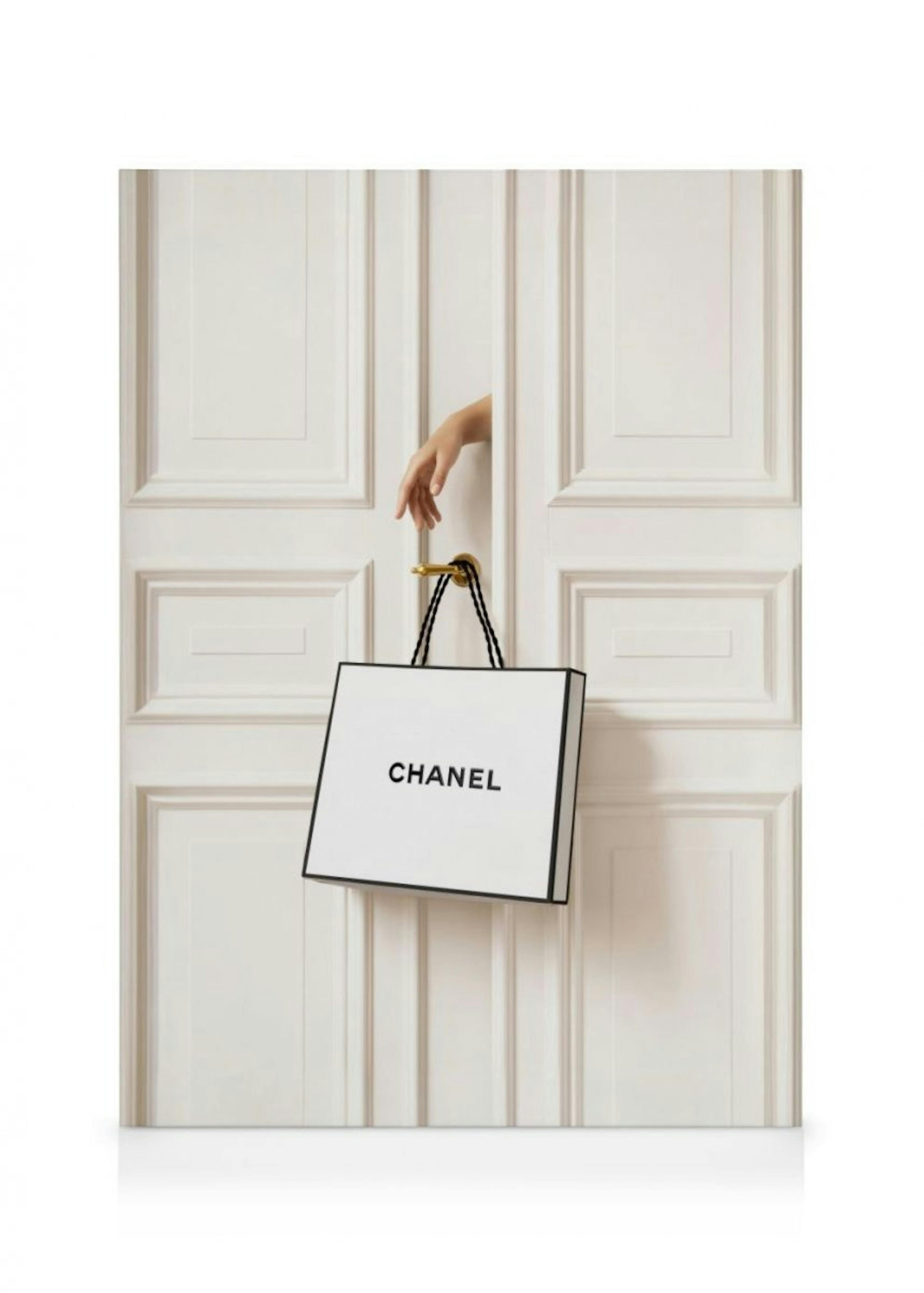 Chanel Bag Canvas Print 0