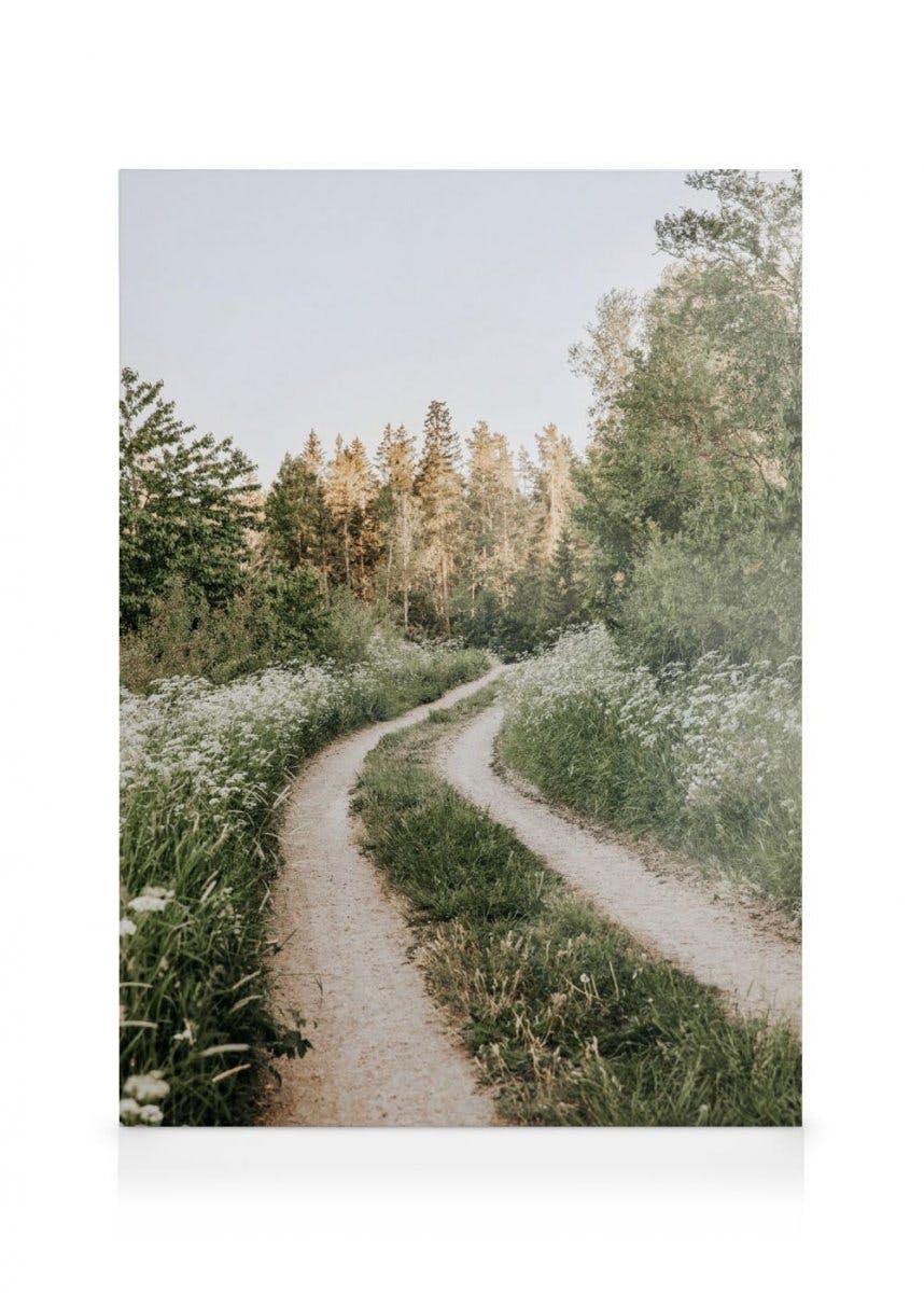 Morning Walk in Forest Obraz na płótnie (50x70 cm - Ramka dębowa) - Poster Store