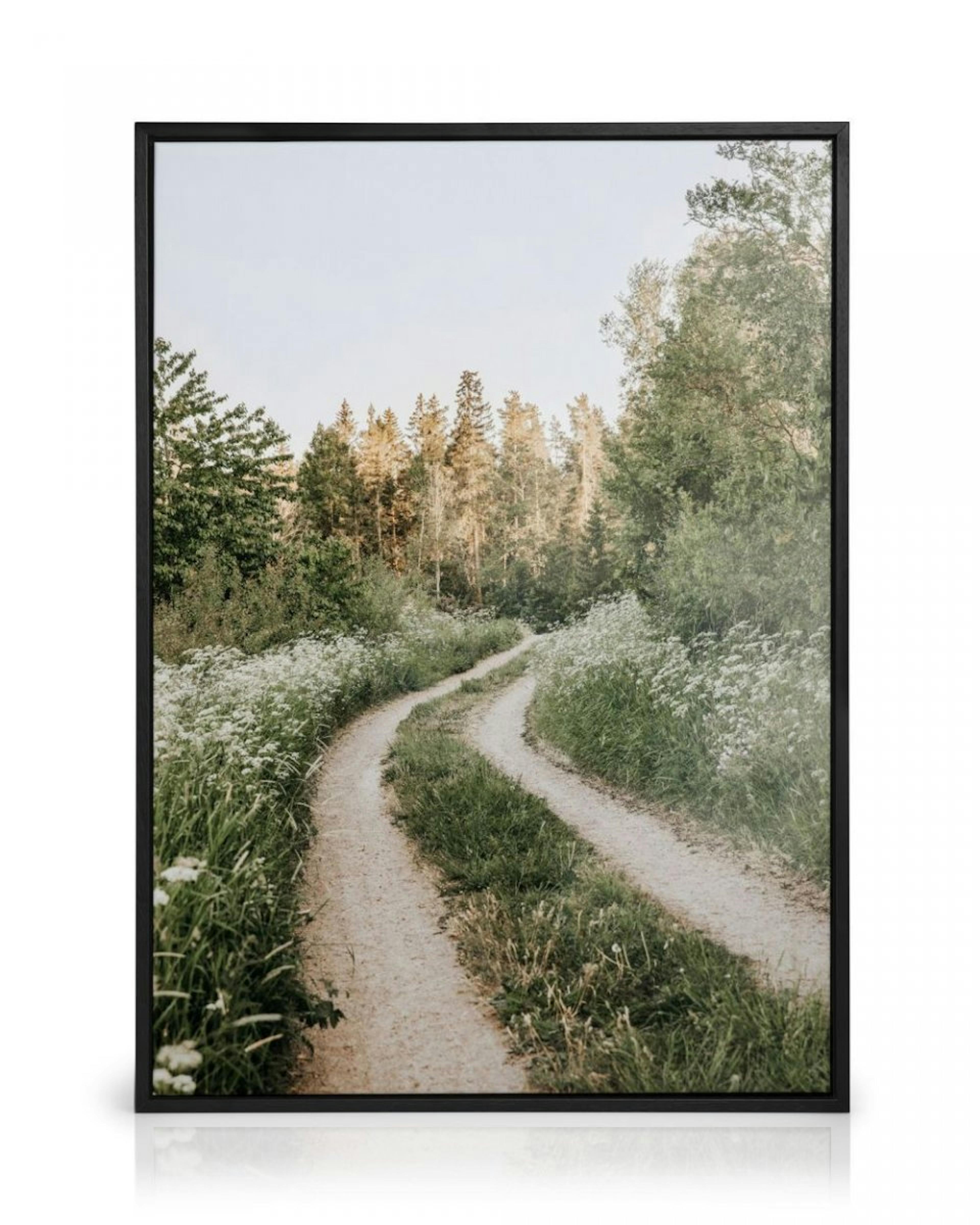 Morning Walk in Forest Canvas print thumbnail