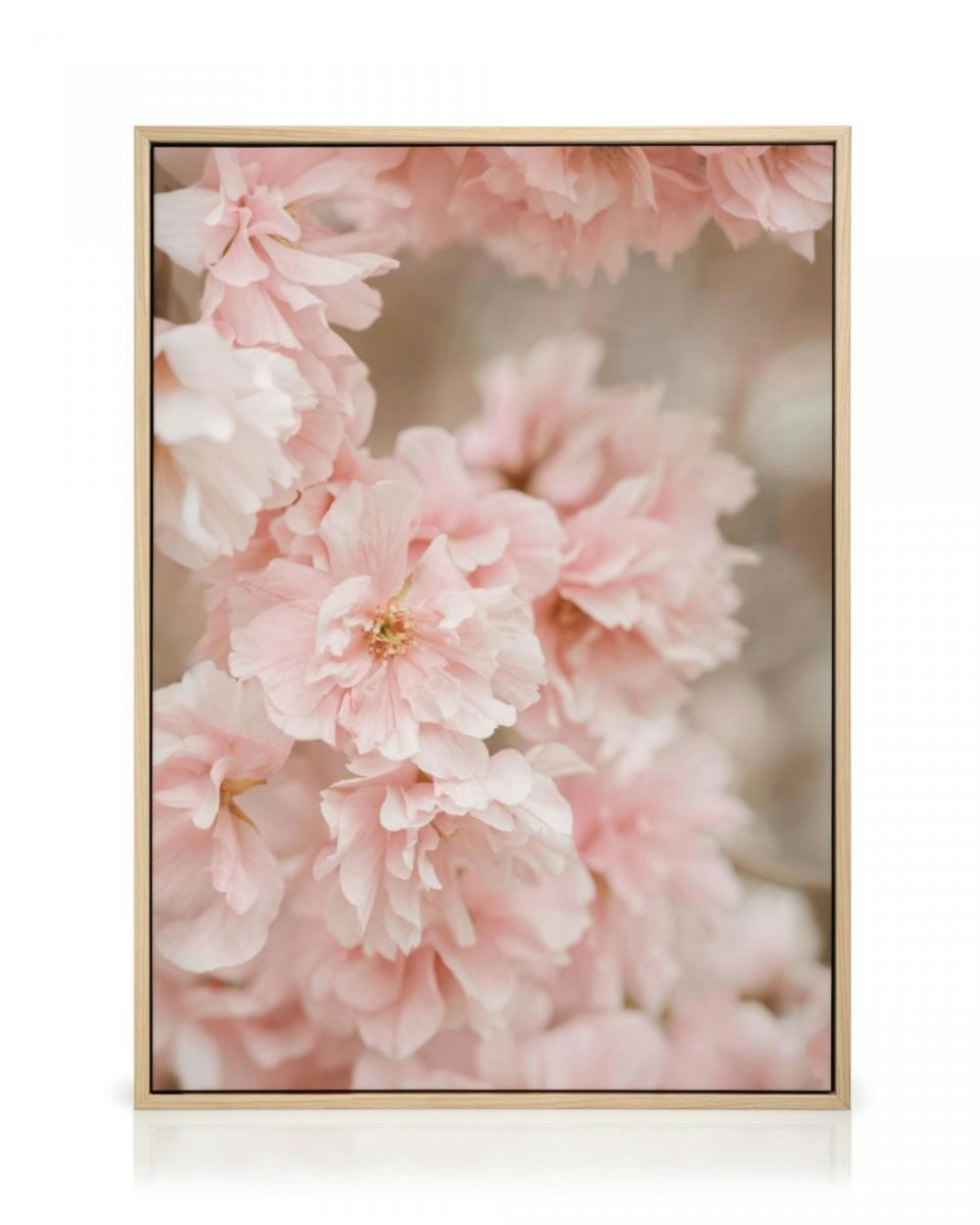 Pink Cherry Blossom Canvas print thumbnail