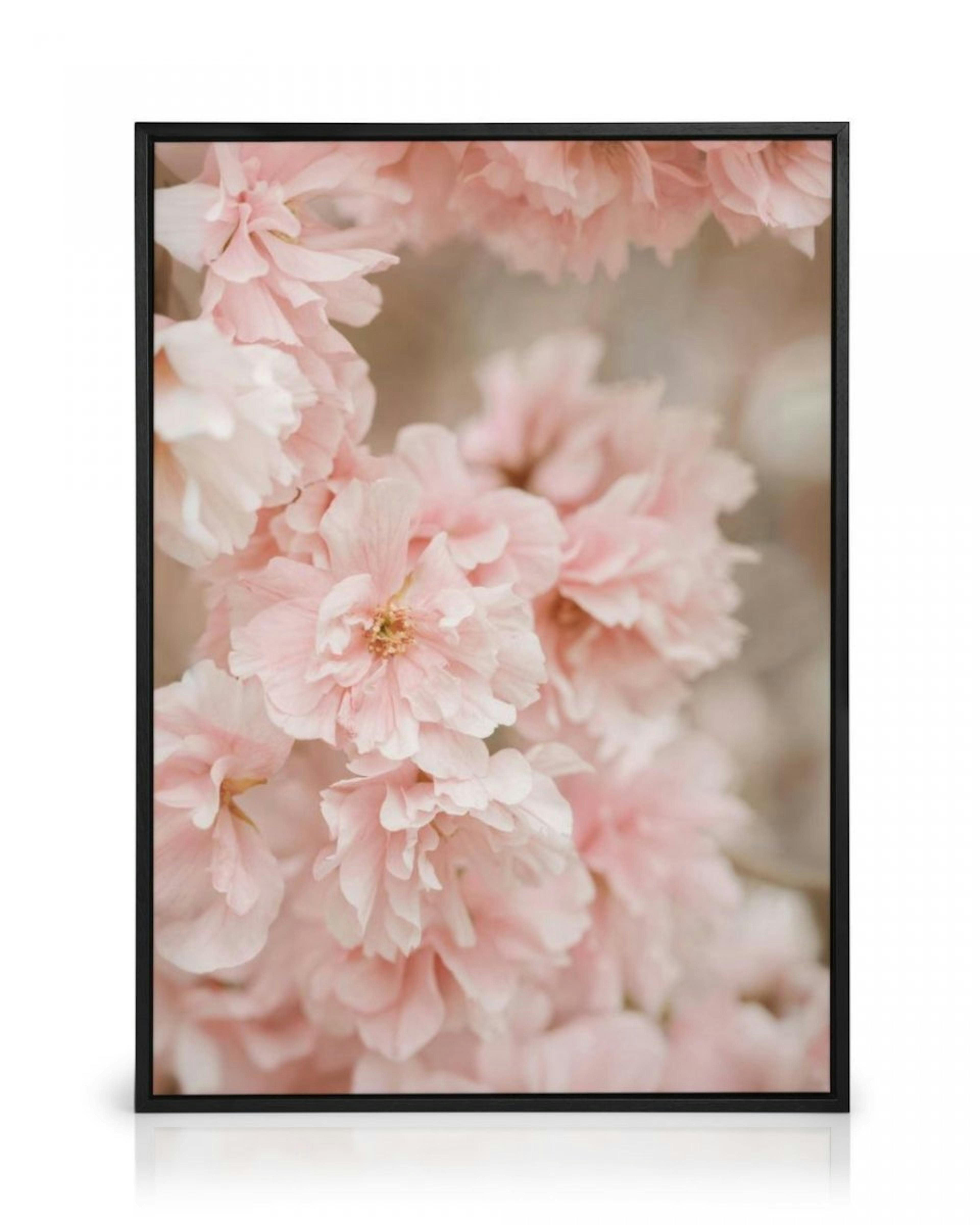 Pink Cherry Blossom Canvas print thumbnail