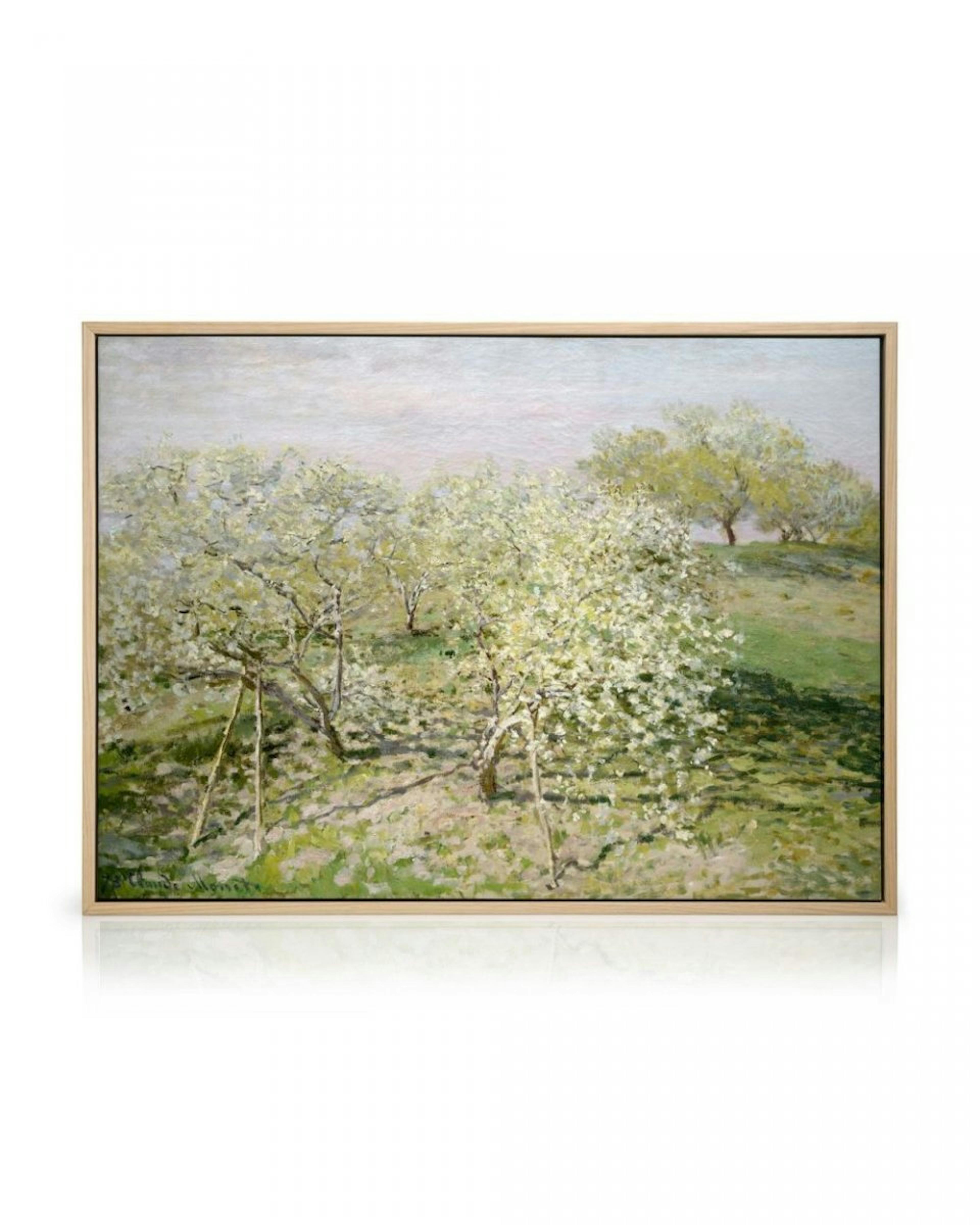 Monet - Spring (Fruit Trees in Bloom) Lærred thumbnail