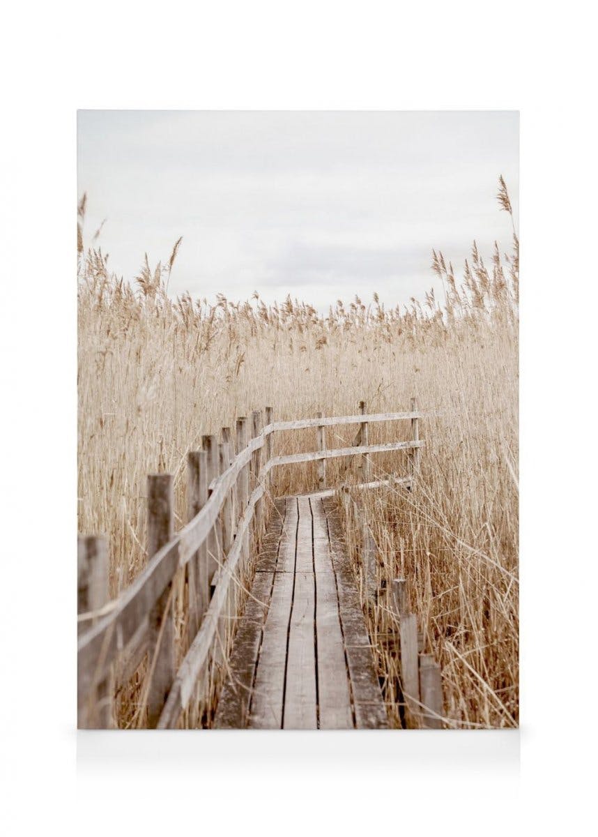 Calm Path Canvas (30x40 cm) - Poster Store