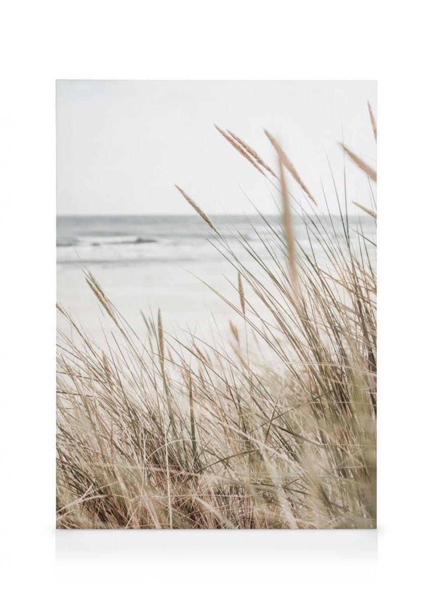 Beachy Reeds Obraz na płótnie (30x40 cm) - Poster Store