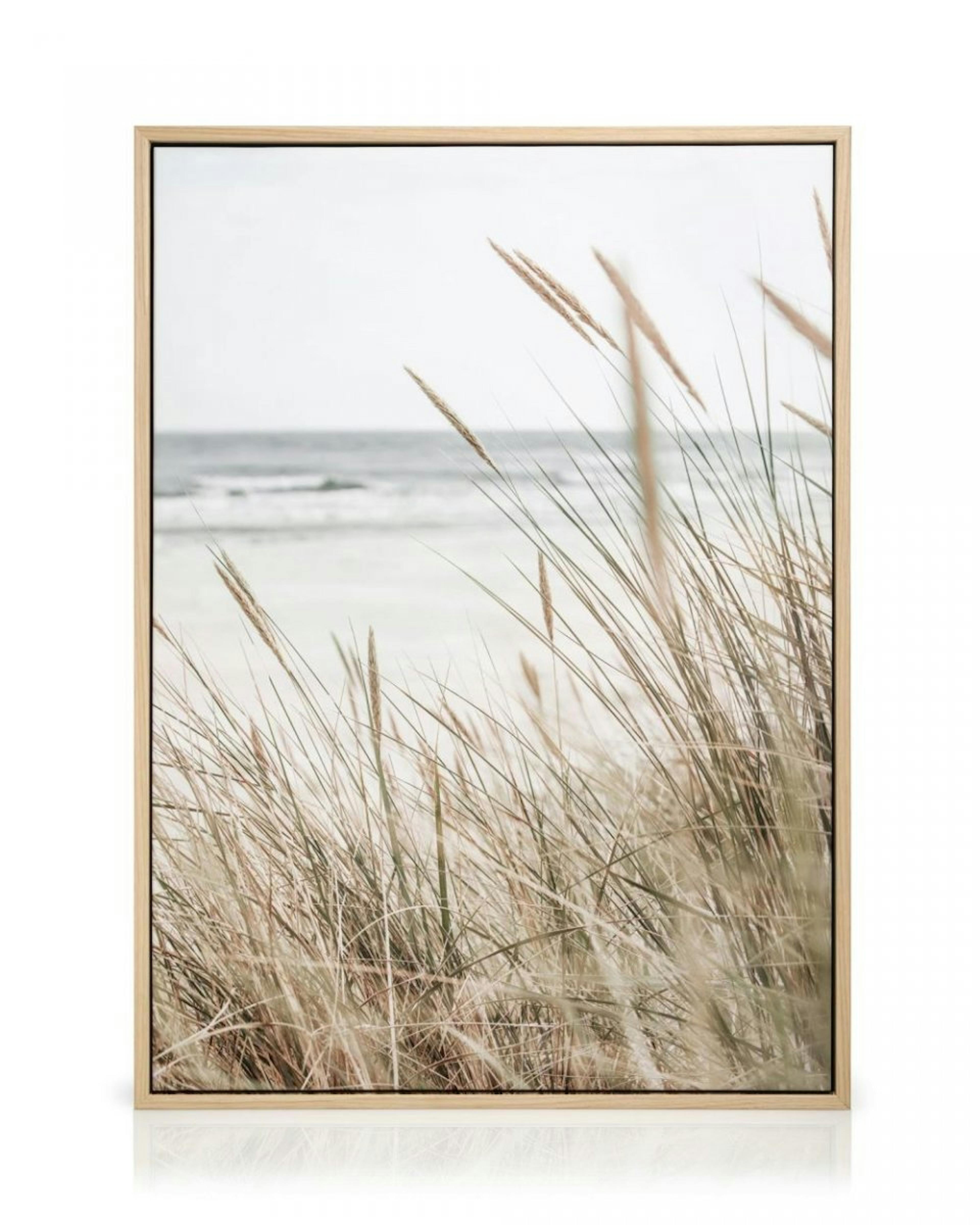 Beachy Reeds Stampa su Tela thumbnail
