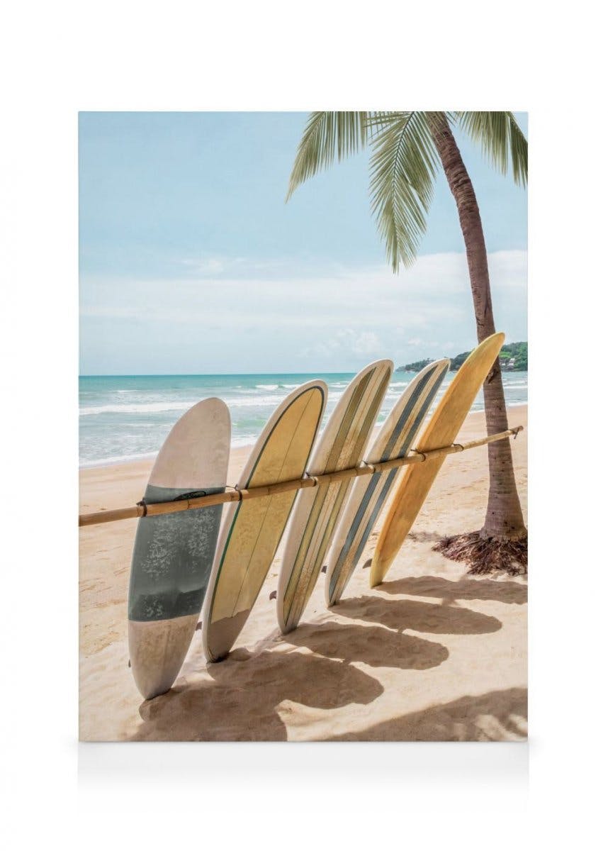Lined Up Surfboards Obraz na płótnie (50x70 cm) - Poster Store