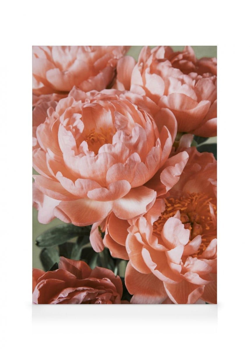 Pink Bouquet Obraz na płótnie (50x70 cm - Czarna ramka) - Poster Store