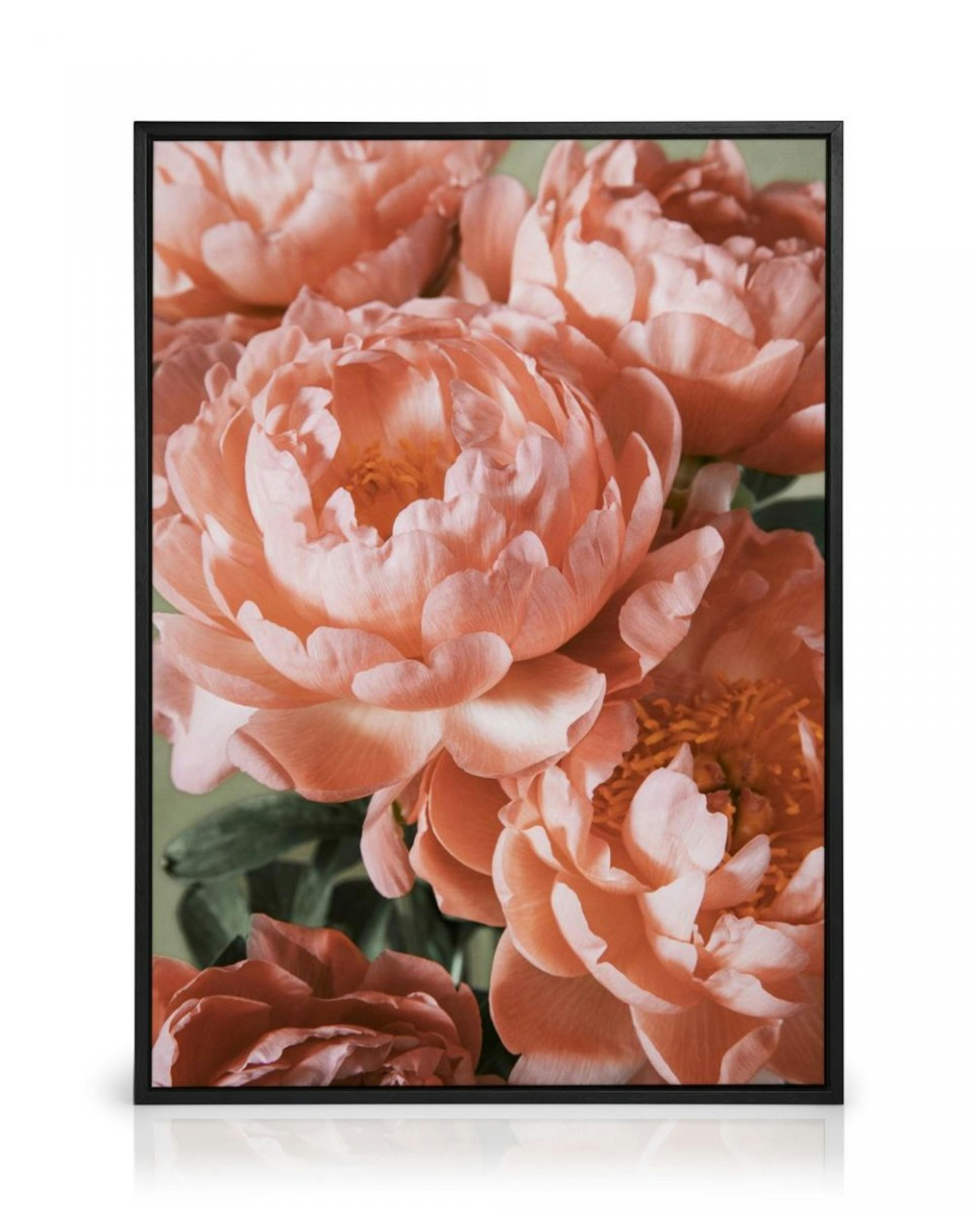 Pink Bouquet Canvastavla thumbnail