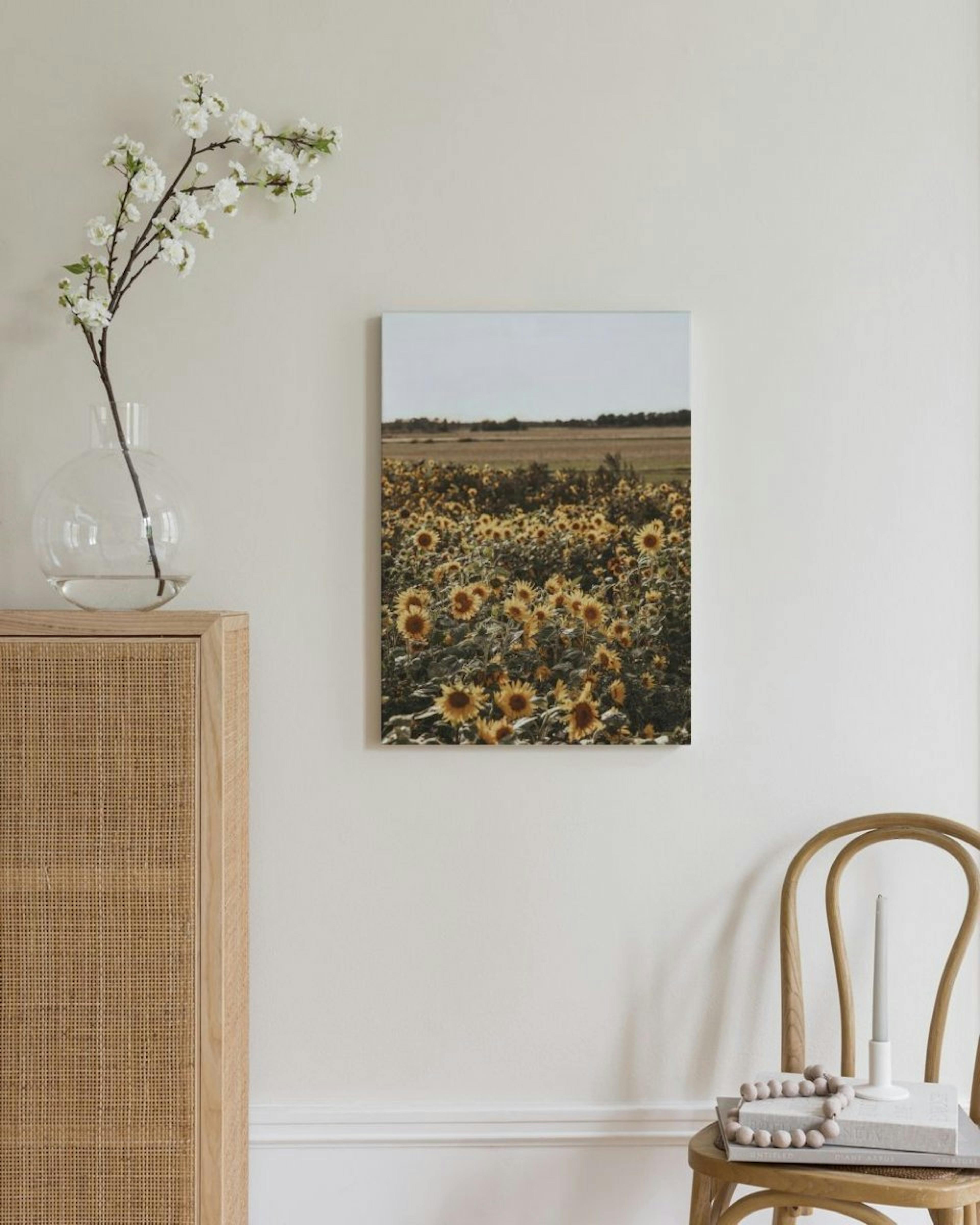 Field of Sunflowers Obraz na plátně thumbnail