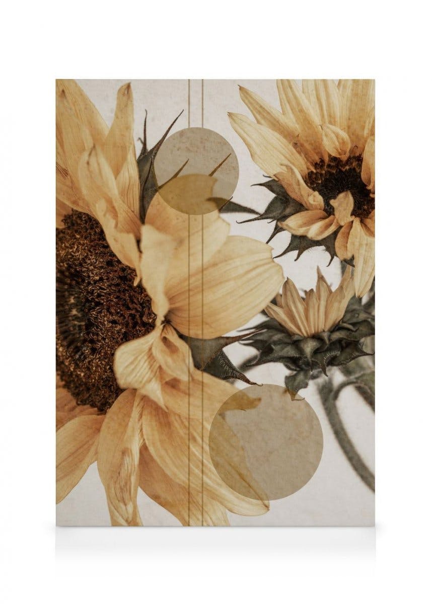 Canvas Prints - Sunflower Constellation No1 Canvas print (50x70 cm) - Poster Store