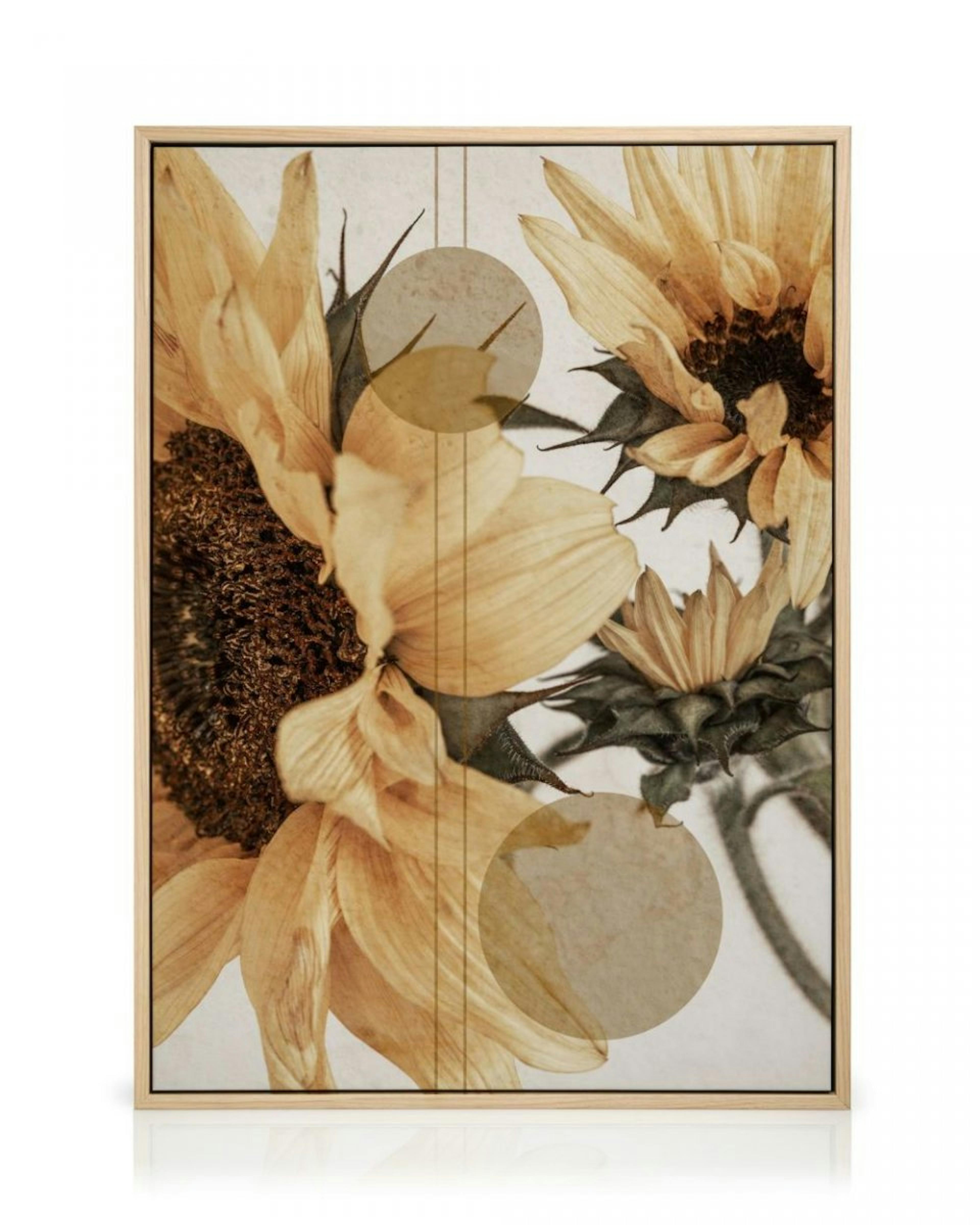 Sunflower Constellation No1 Canvas thumbnail