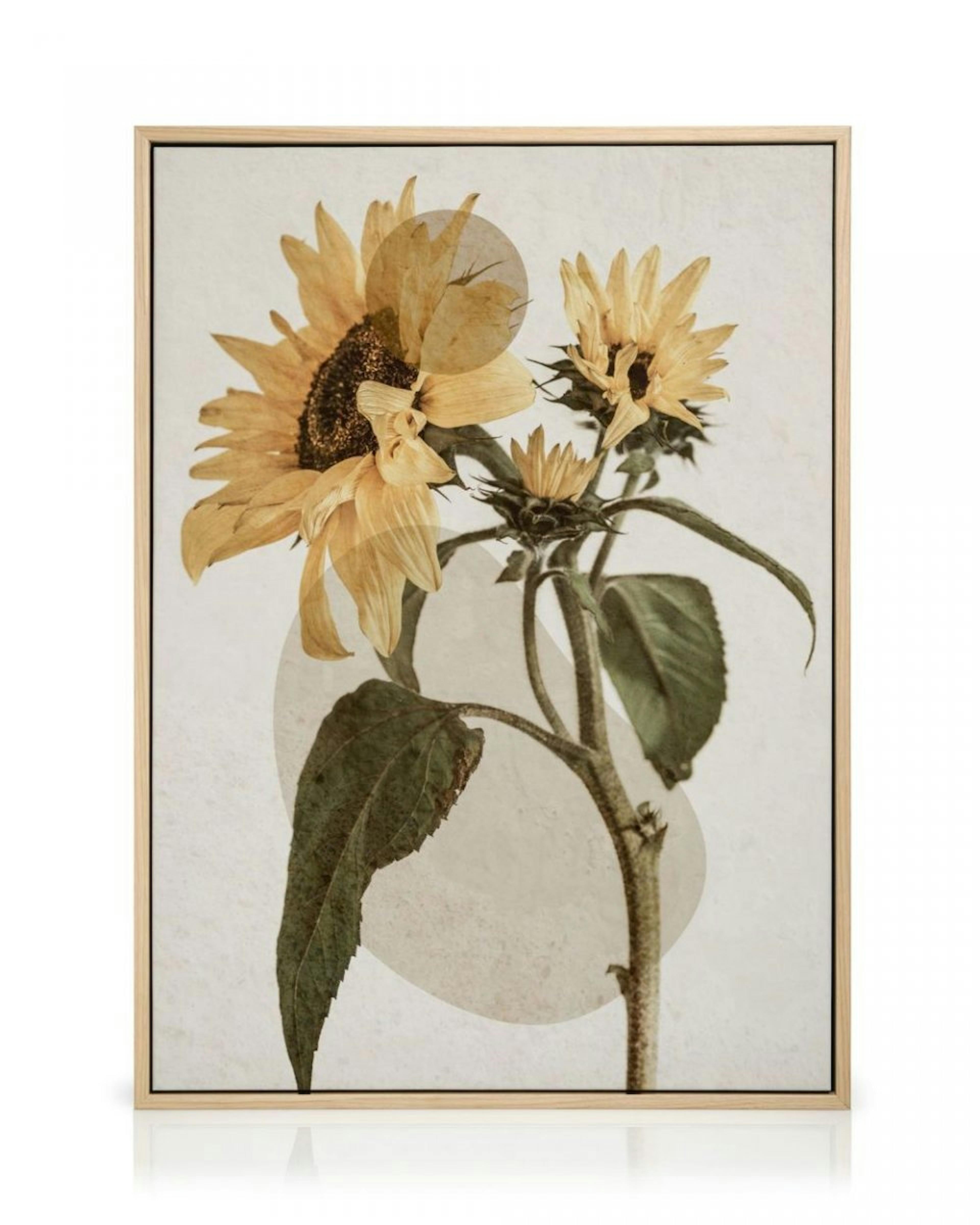 Sunflower Constellation No2 Obraz na płótnie thumbnail