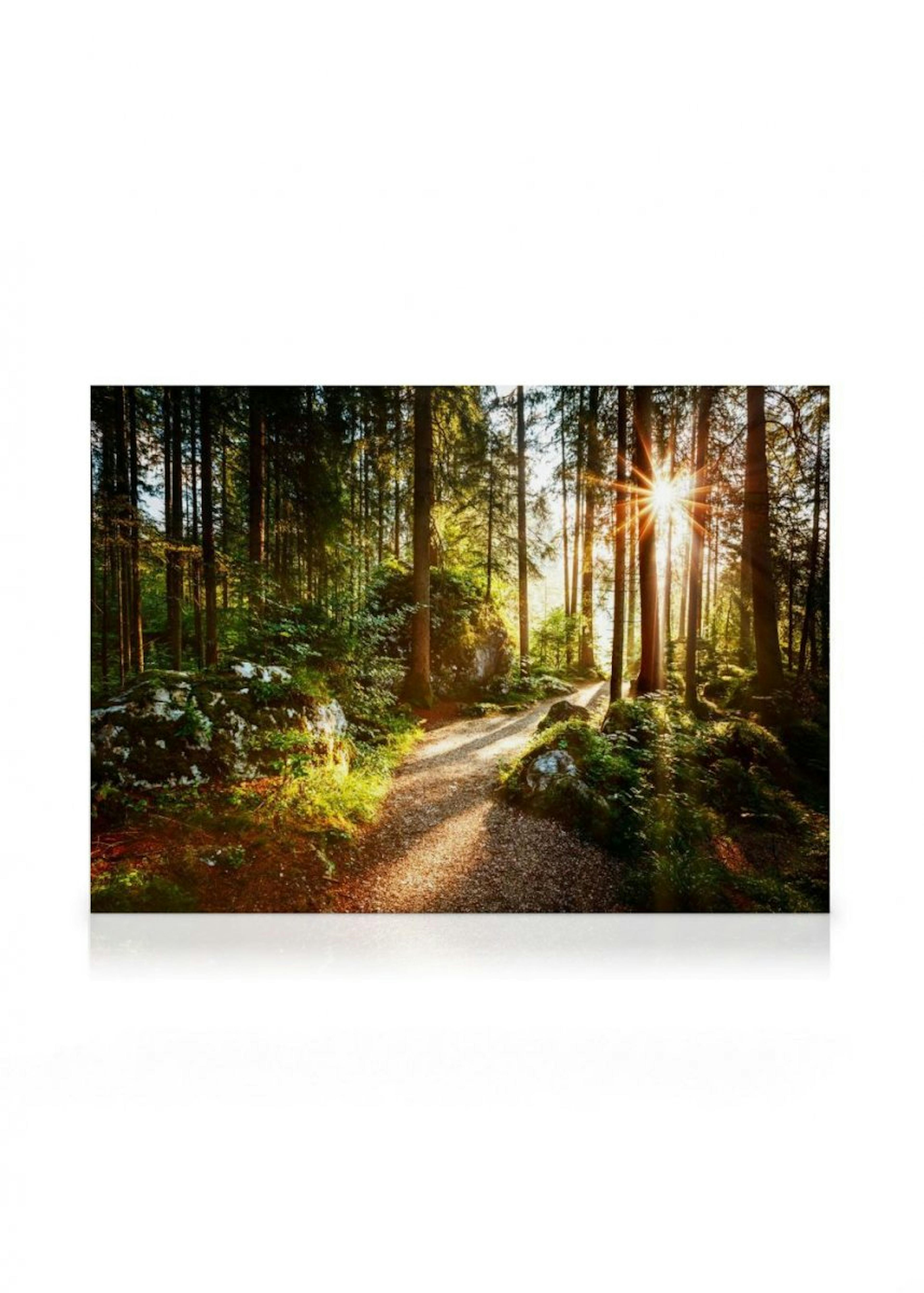 Waldweg Leinwandbild thumbnail