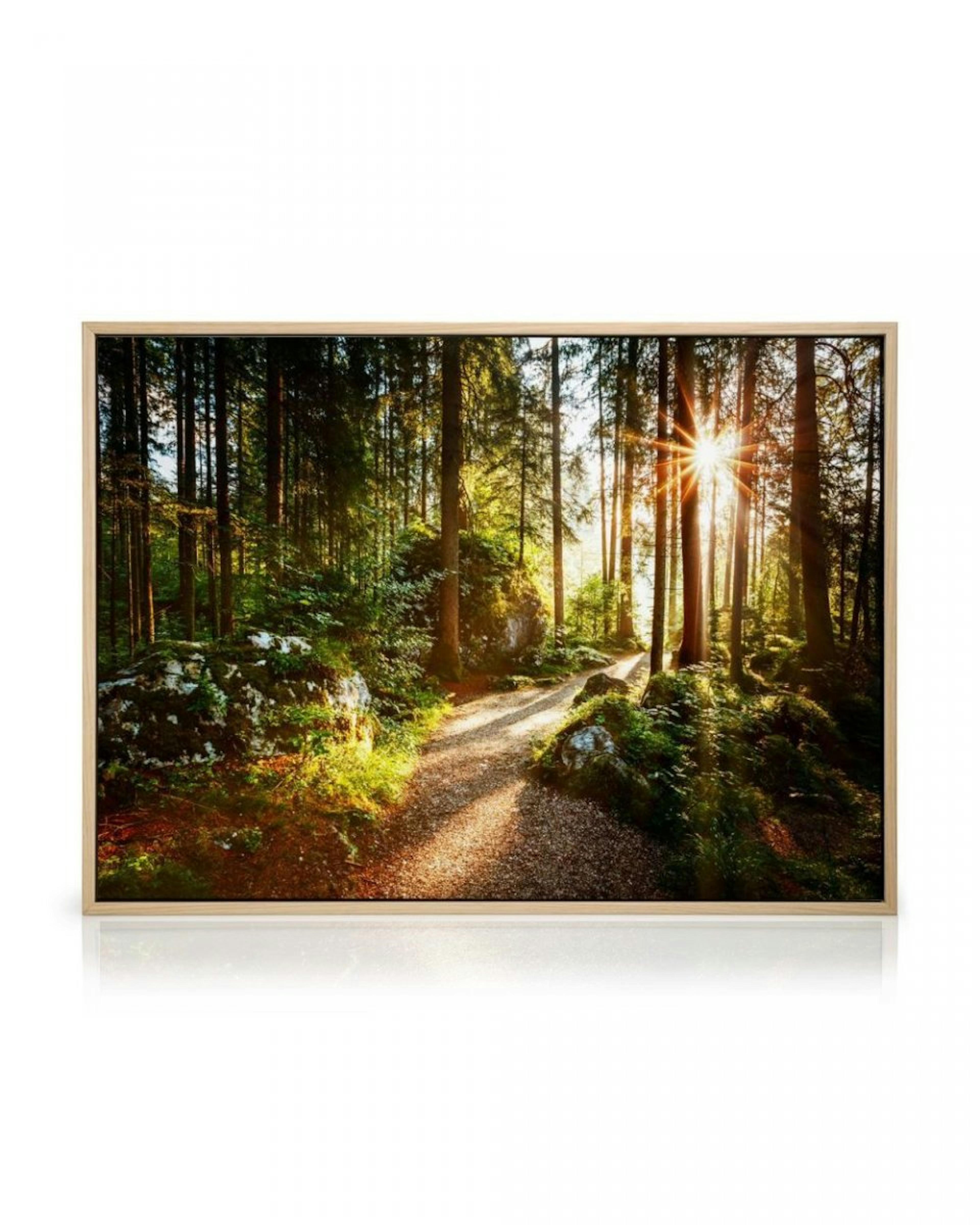 Waldweg Leinwandbild thumbnail