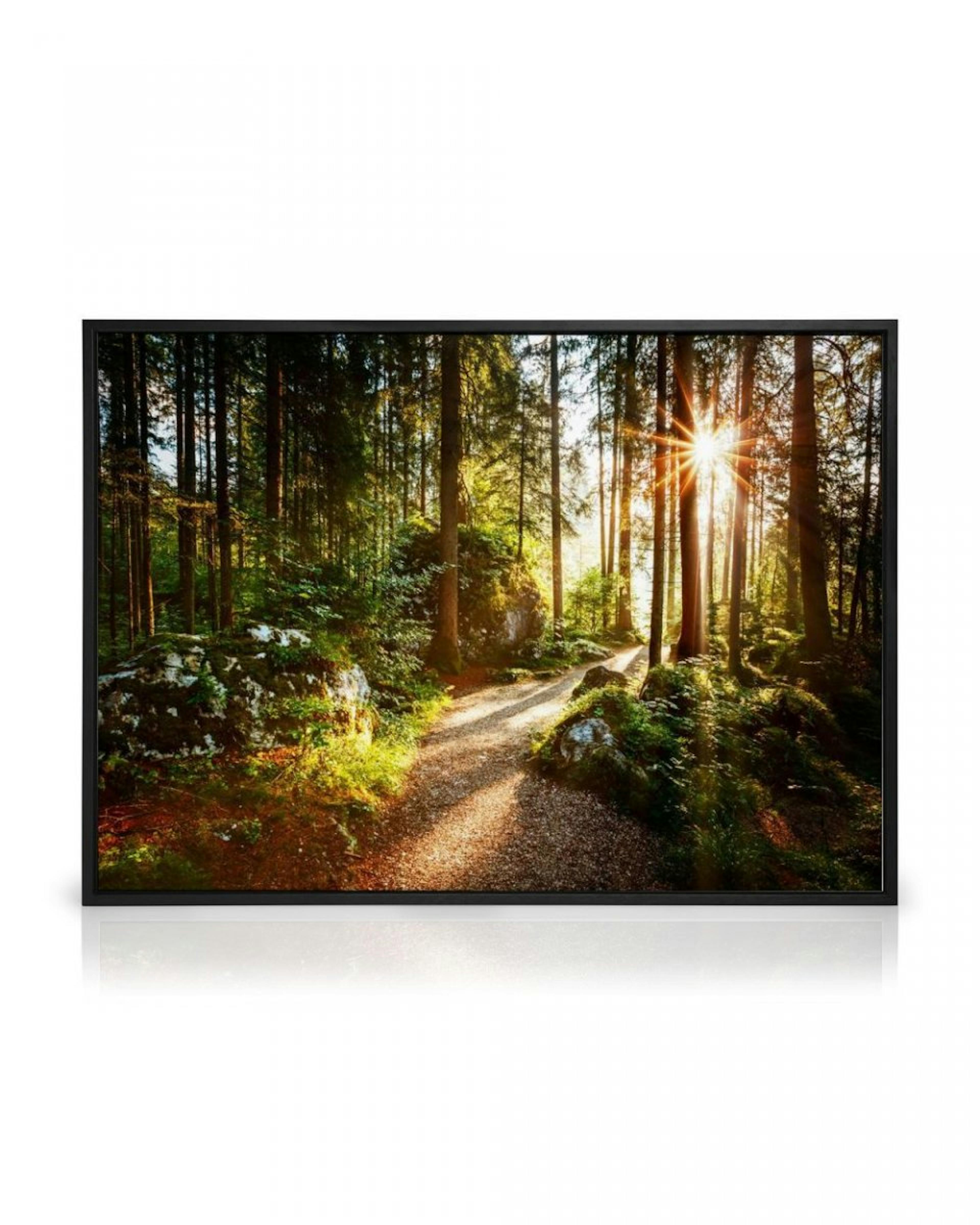 Waldweg Leinwandbild thumbnail