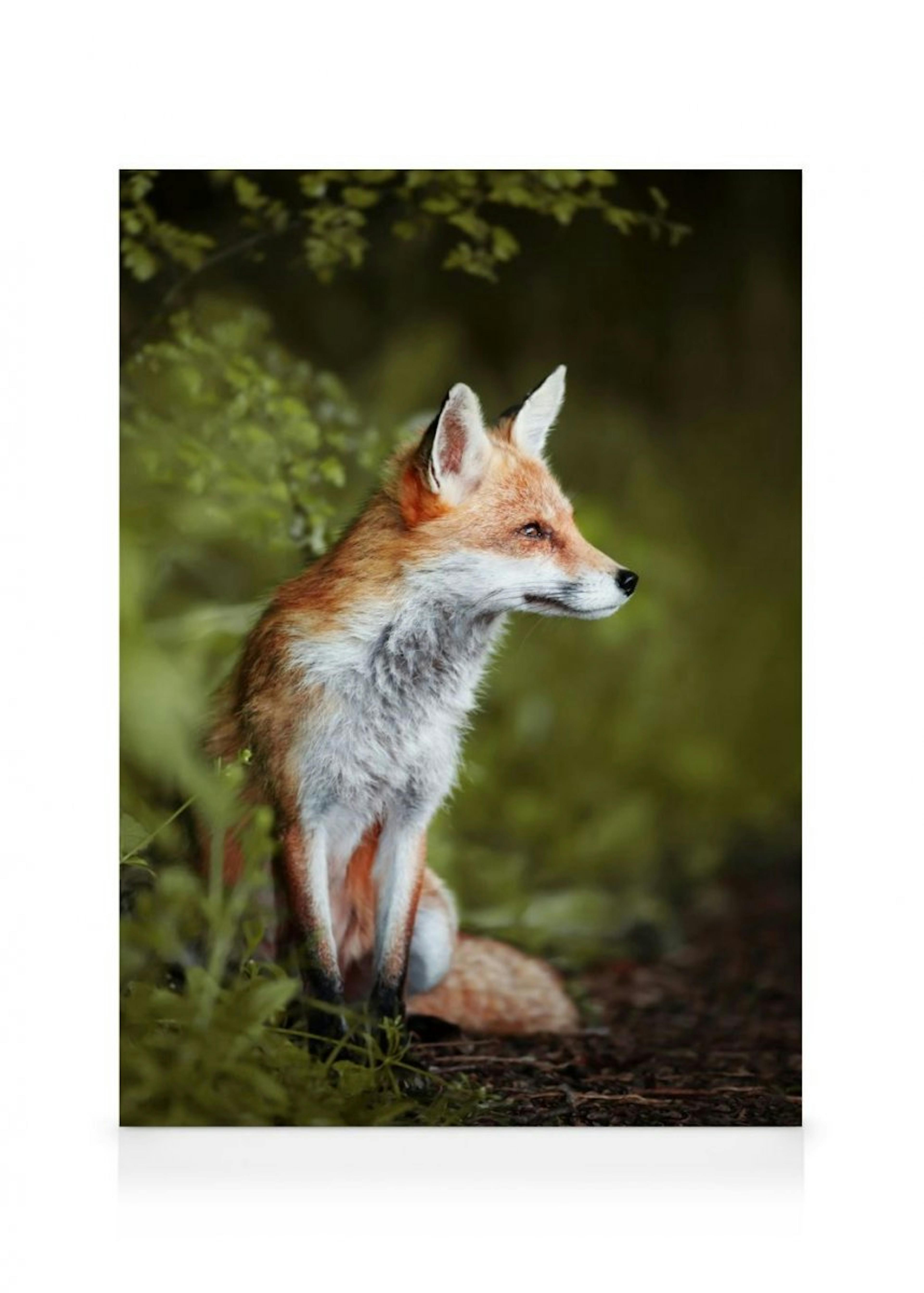 Thoughtful Fox Canvas print thumbnail