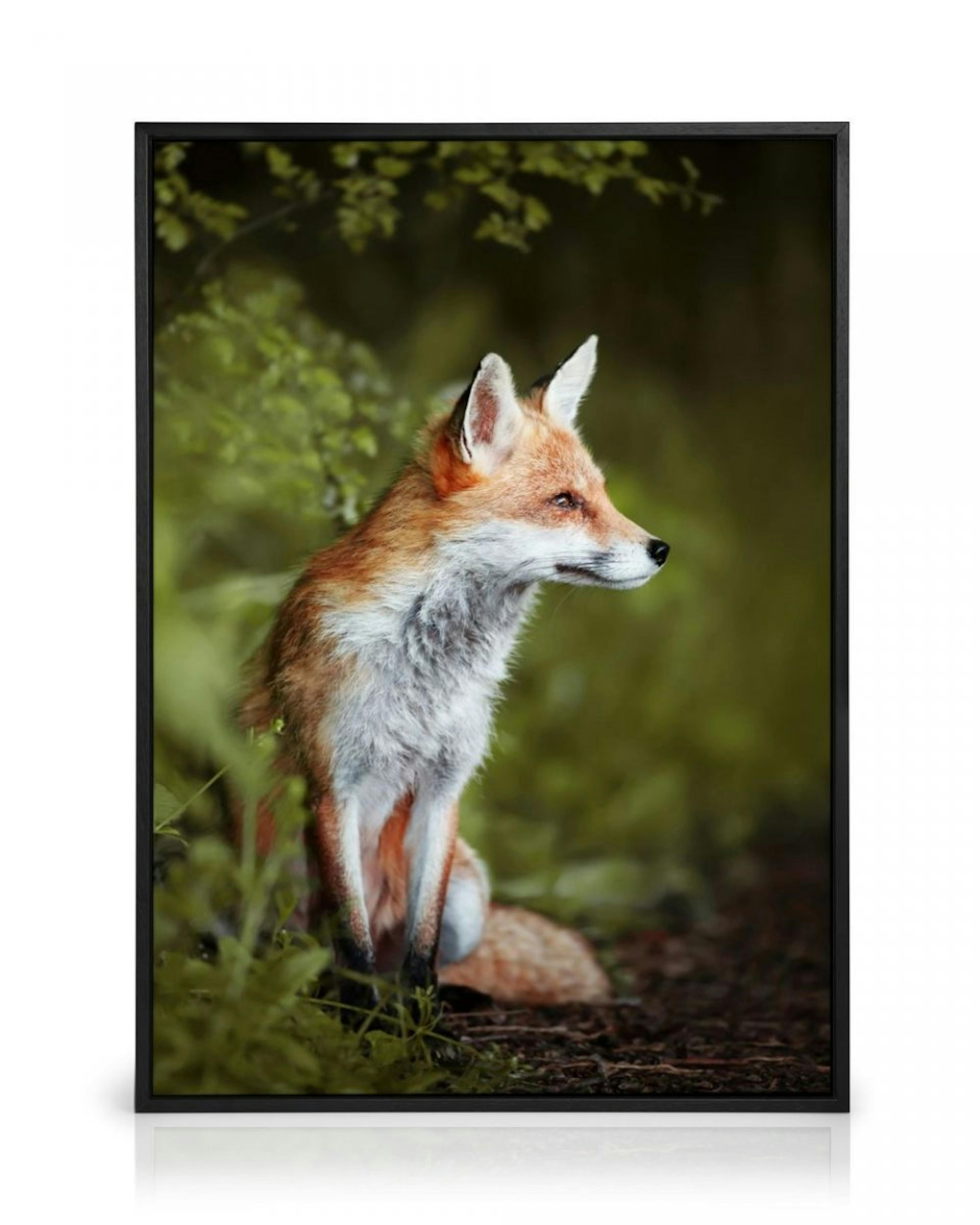 Thoughtful Fox Canvas print thumbnail