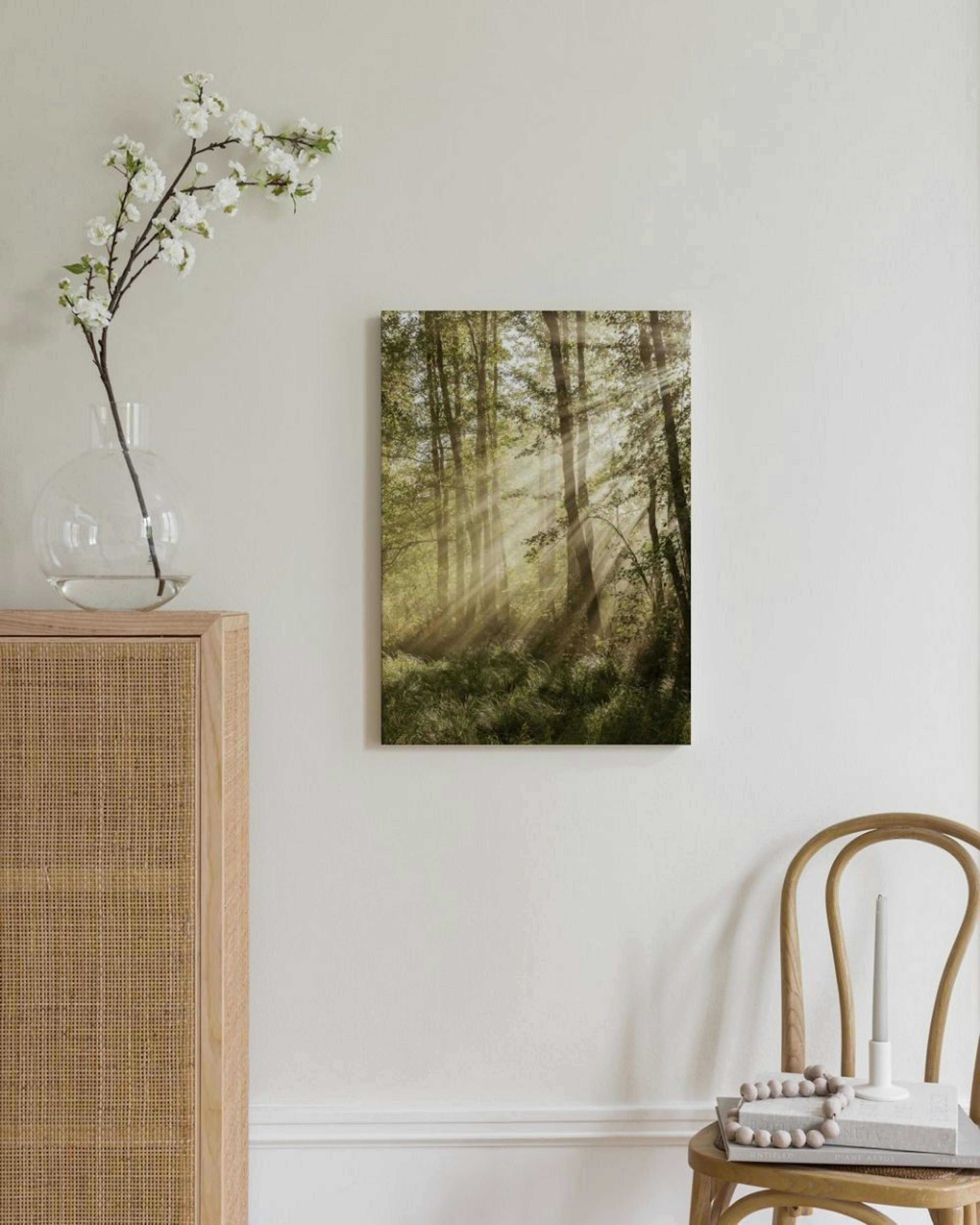 Sunlit Forest Canvas print thumbnail