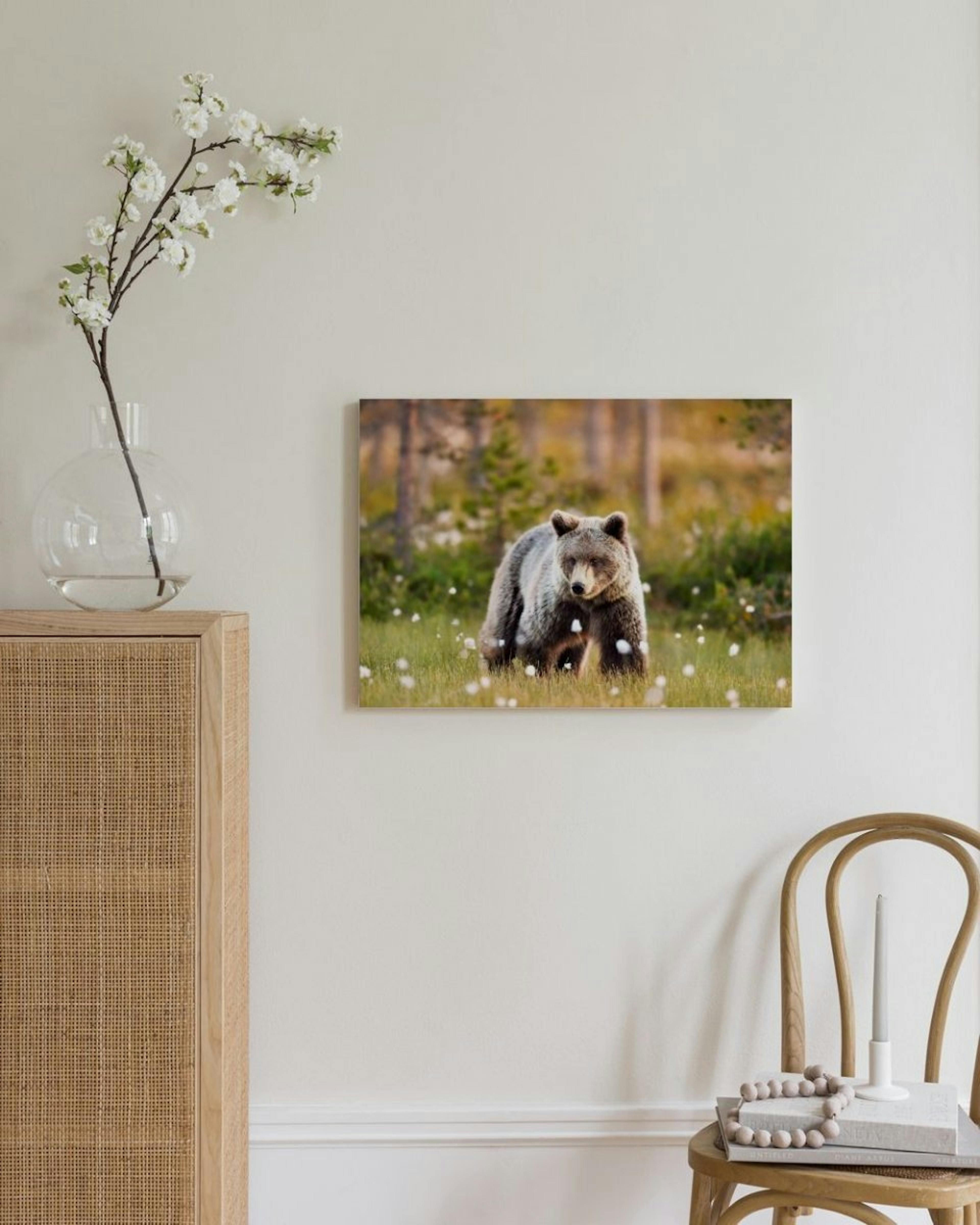 Bear in Meadow Canvas print thumbnail