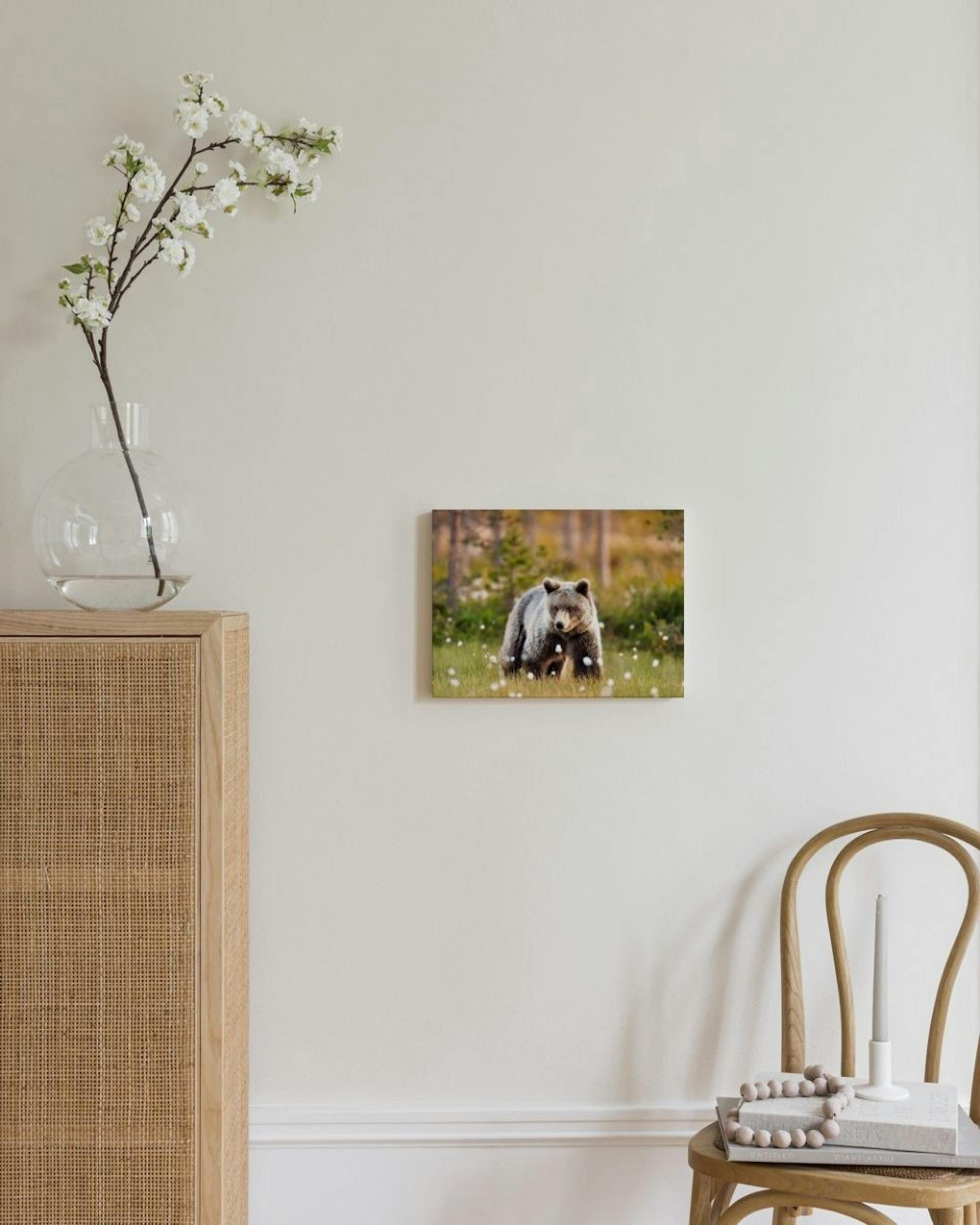 Bear in Meadow Canvas print thumbnail