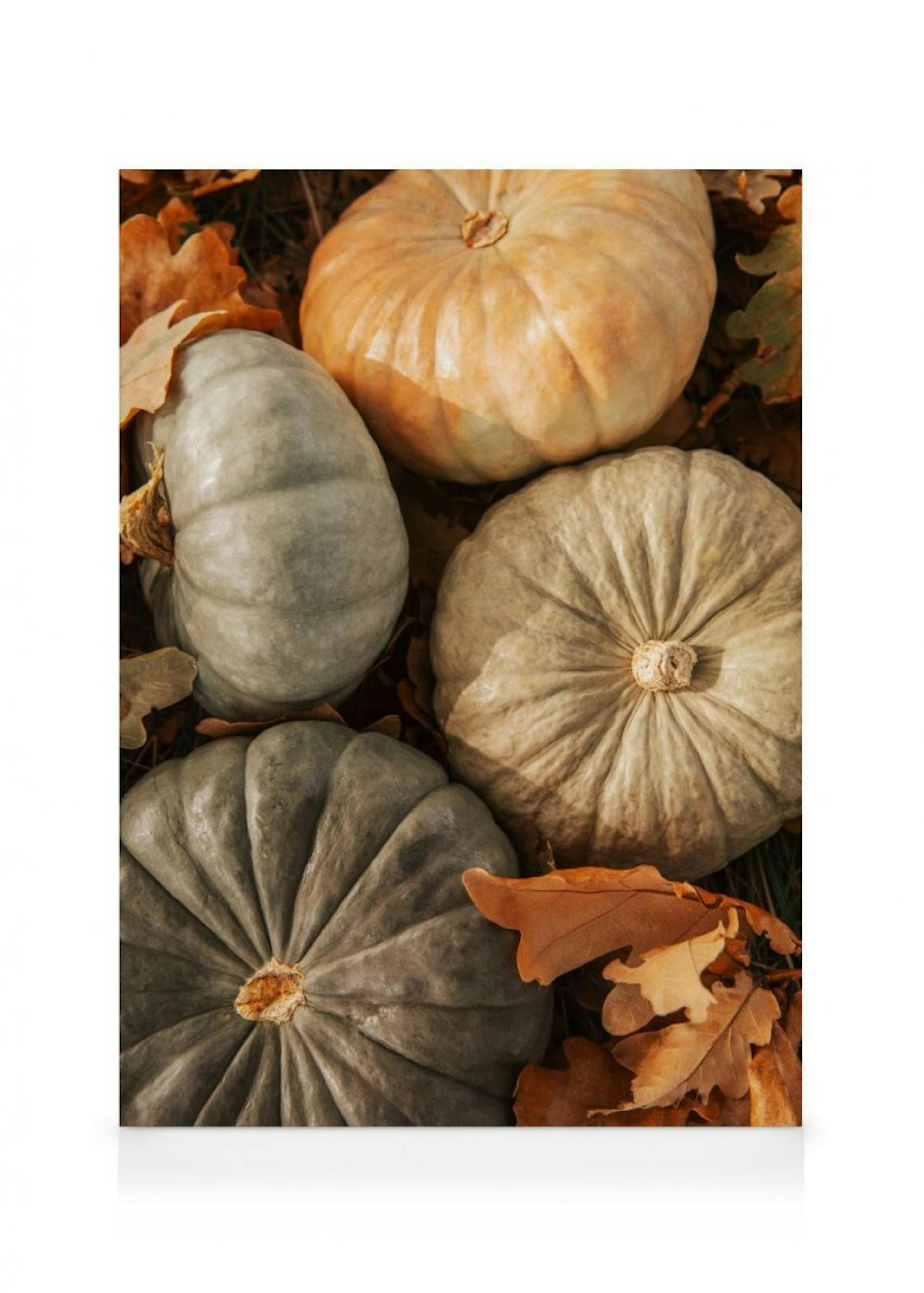 Pumpkin Harvest Canvas print 0