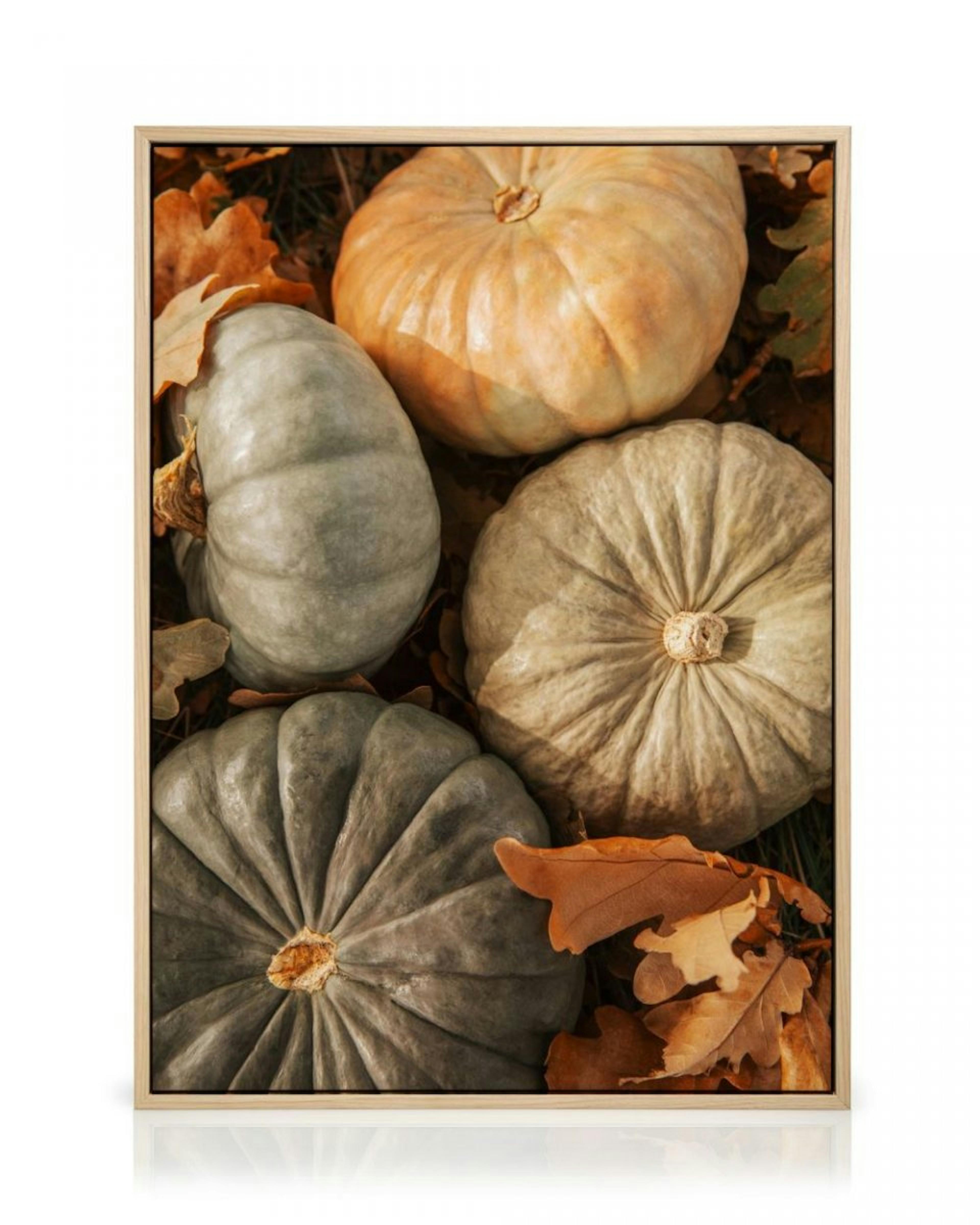 Pumpkin Harvest Canvas print thumbnail