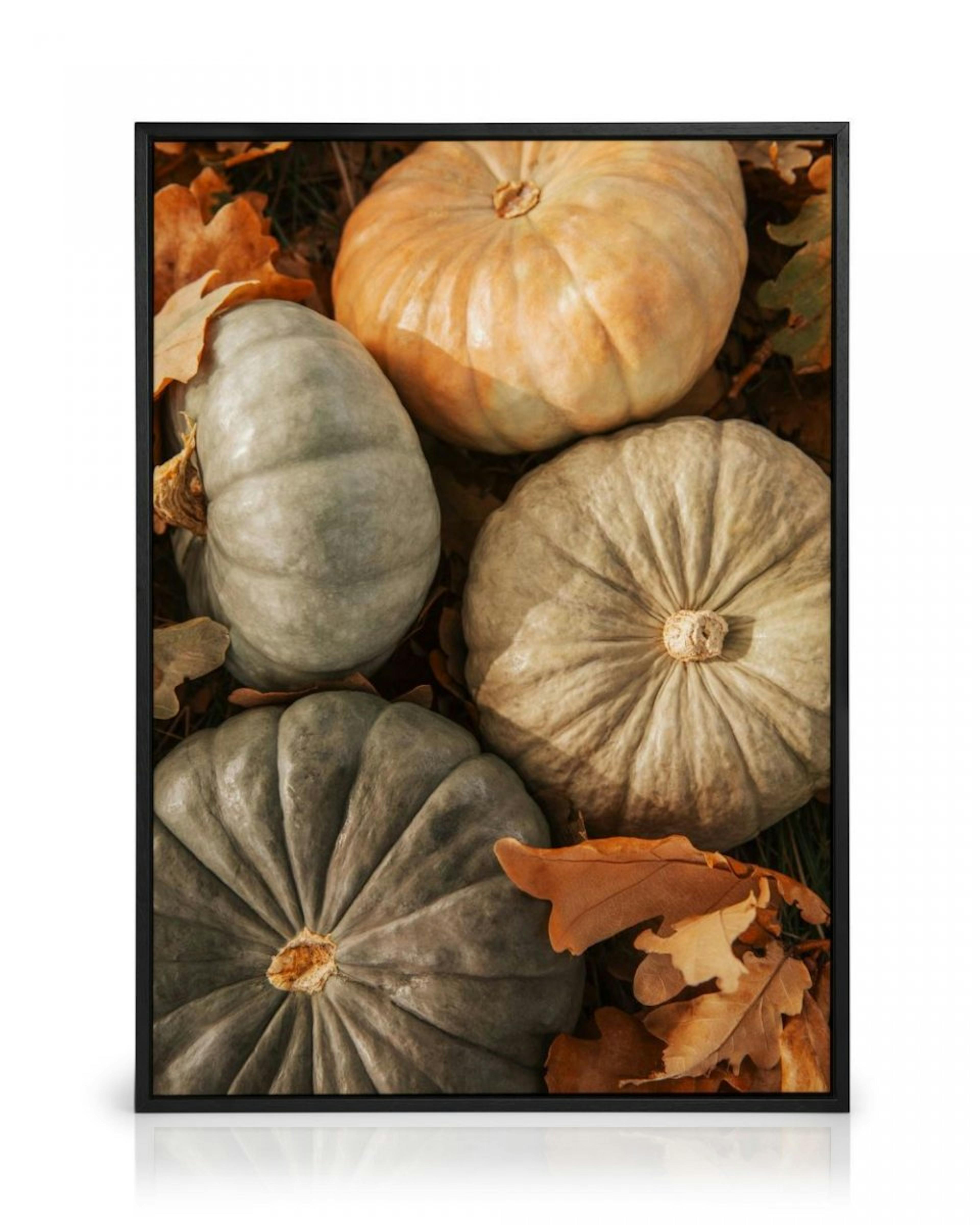 Pumpkin Harvest Canvas print thumbnail