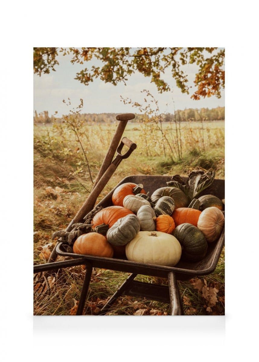 Canvas Prints - Pumpkin Wheelbarrow Canvas print (30x40 cm - Black Frame) - Poster Store