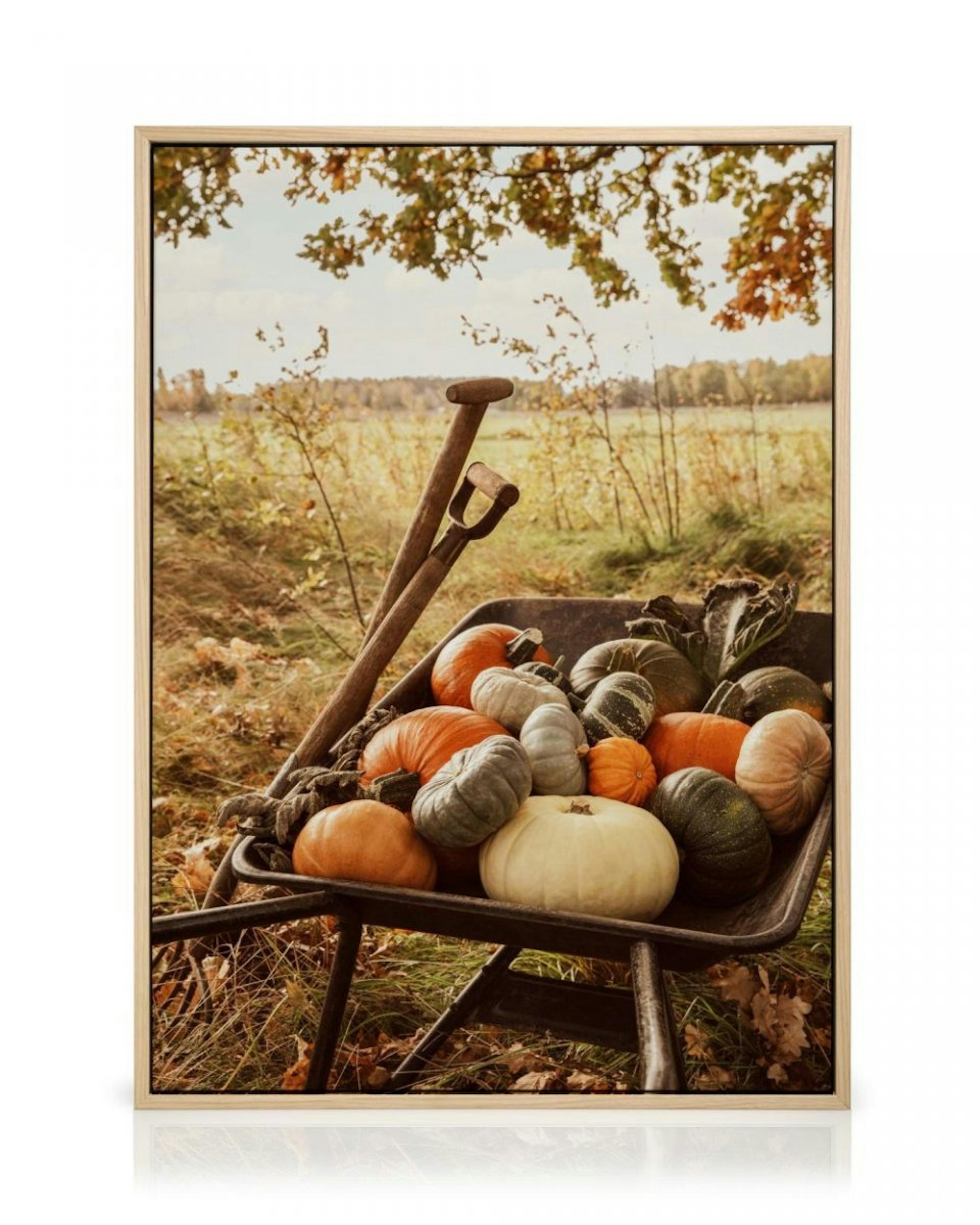 Pumpkin Wheelbarrow Canvas print thumbnail