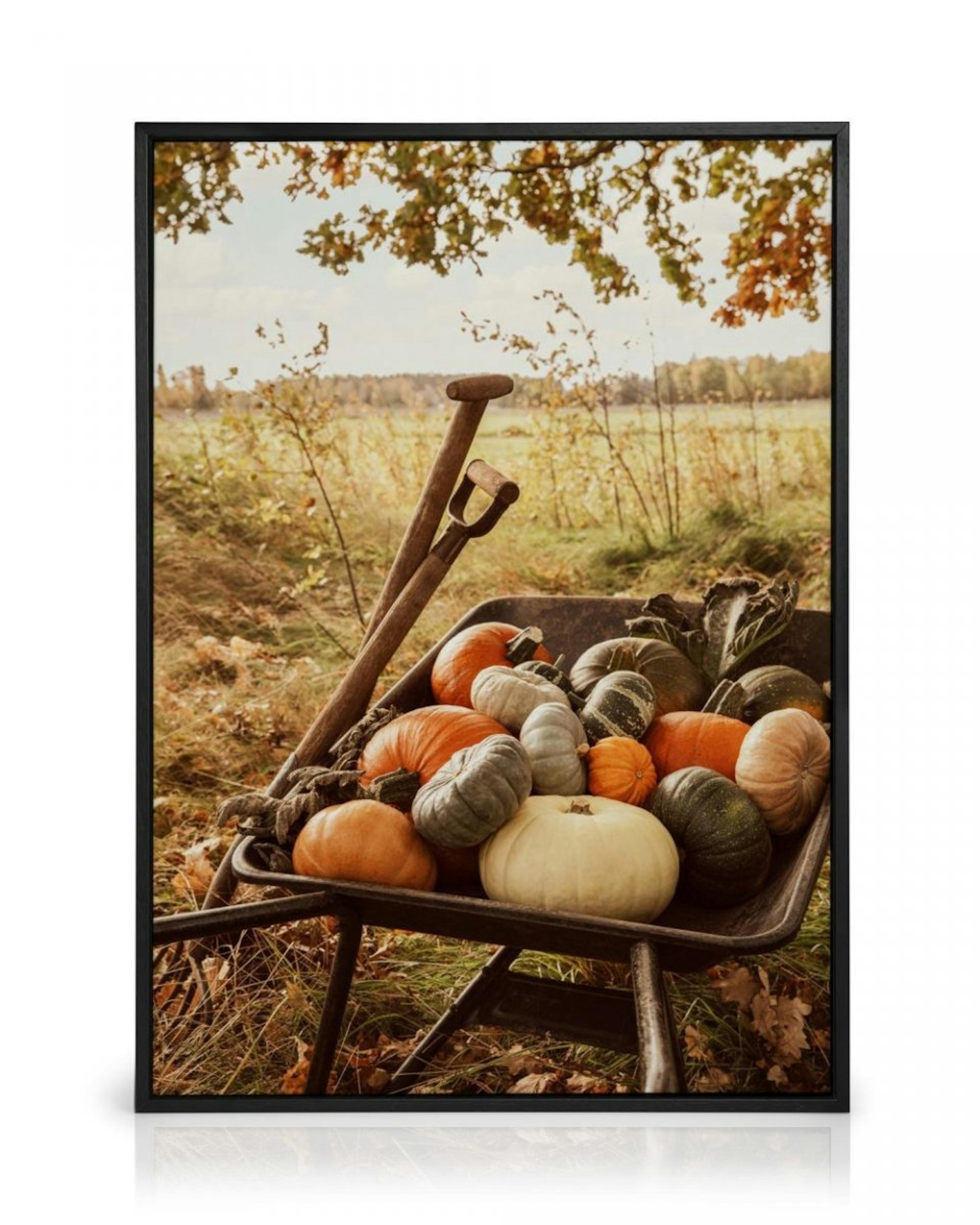 Pumpkin Wheelbarrow Canvas print thumbnail