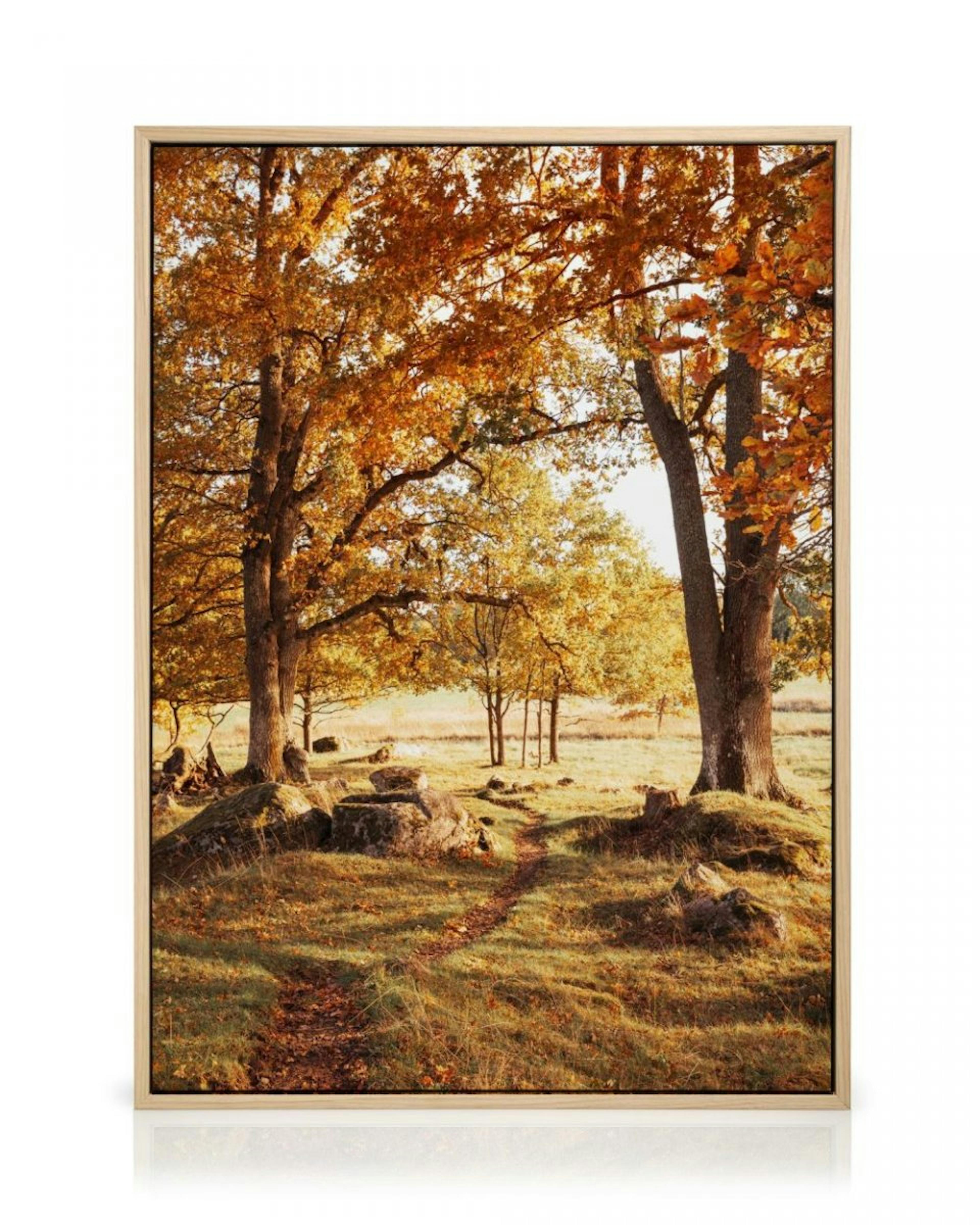 Warm Grove Canvas print thumbnail