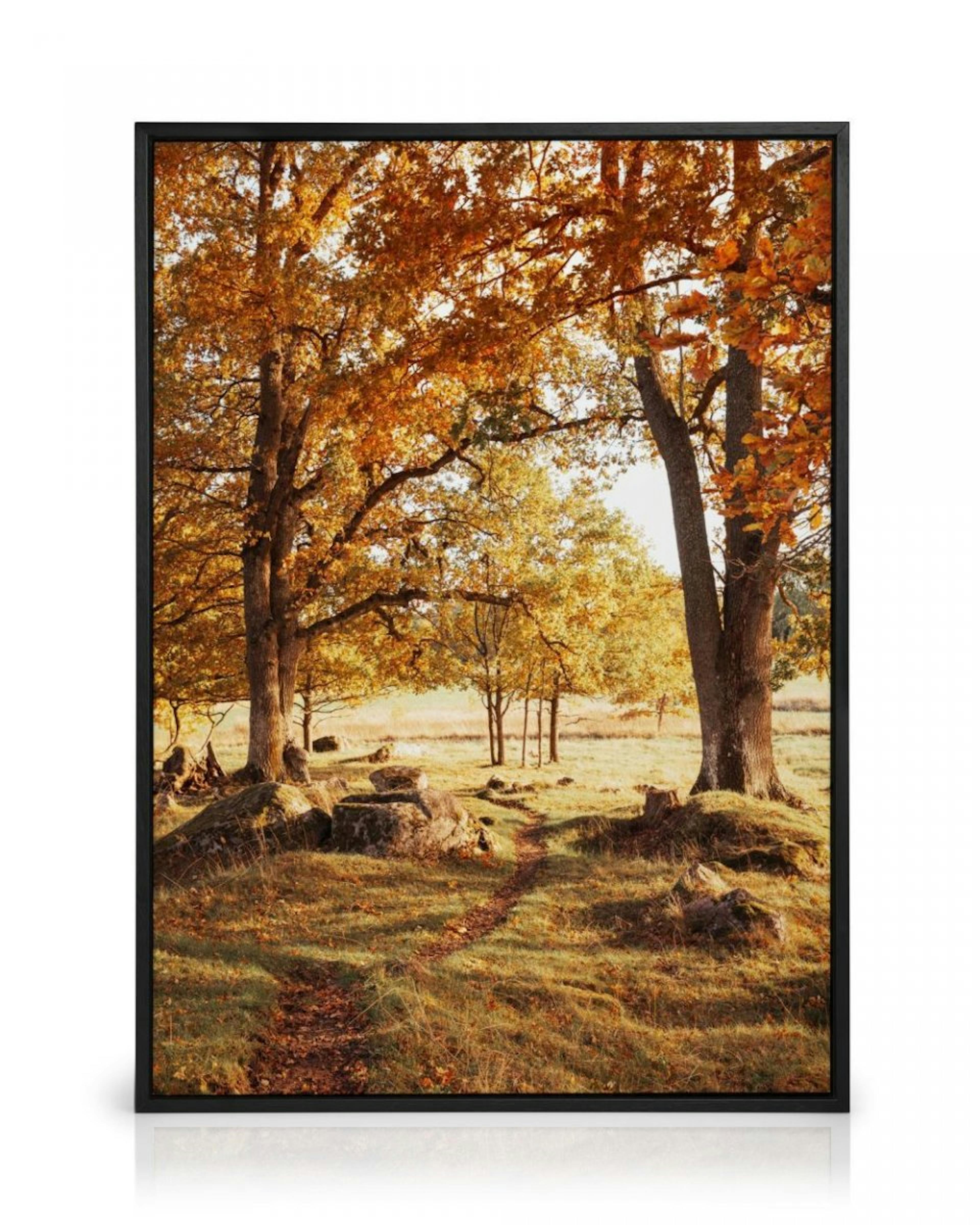 Warm Grove Canvas thumbnail