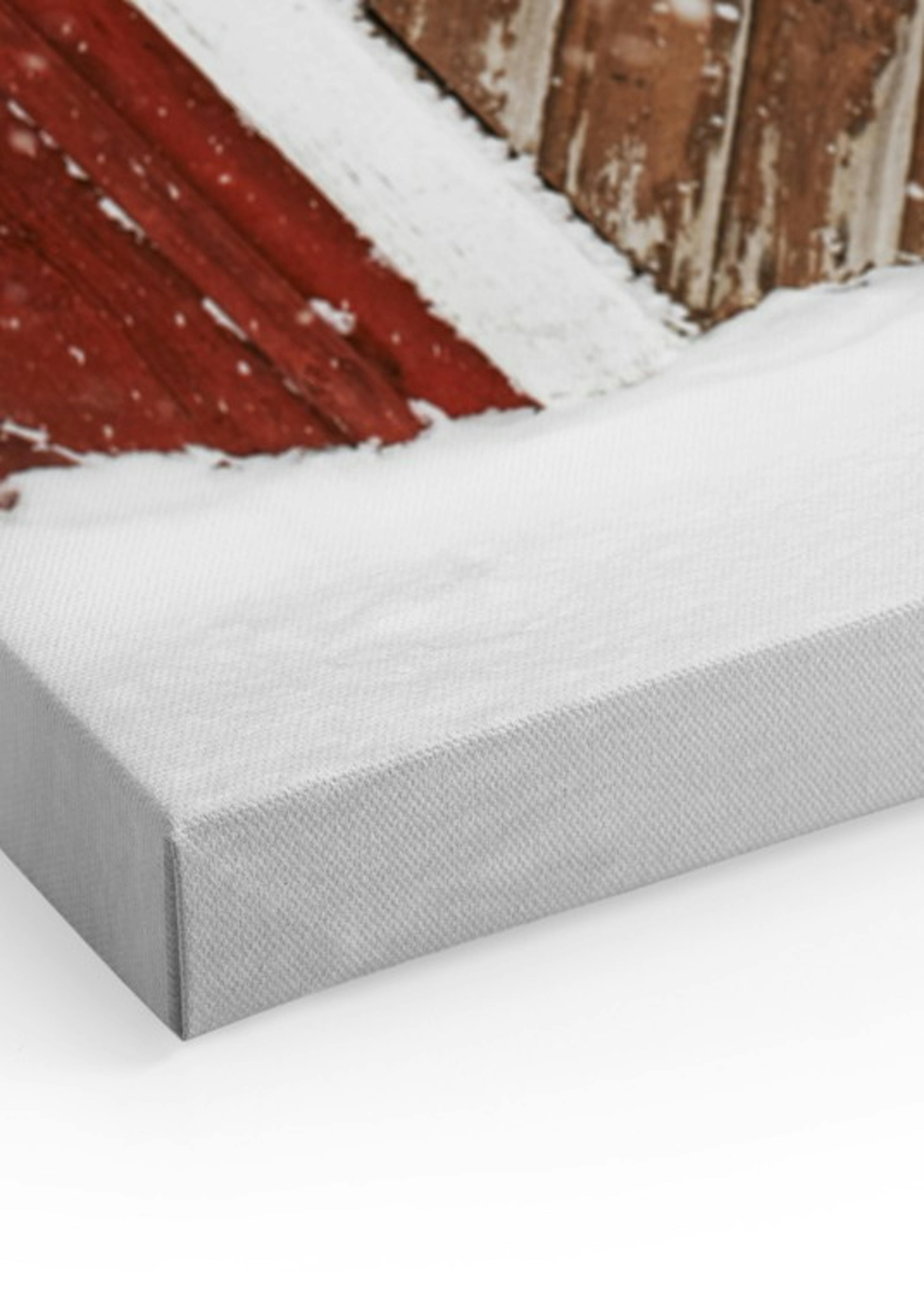 Snowy Door Canvas Print thumbnail