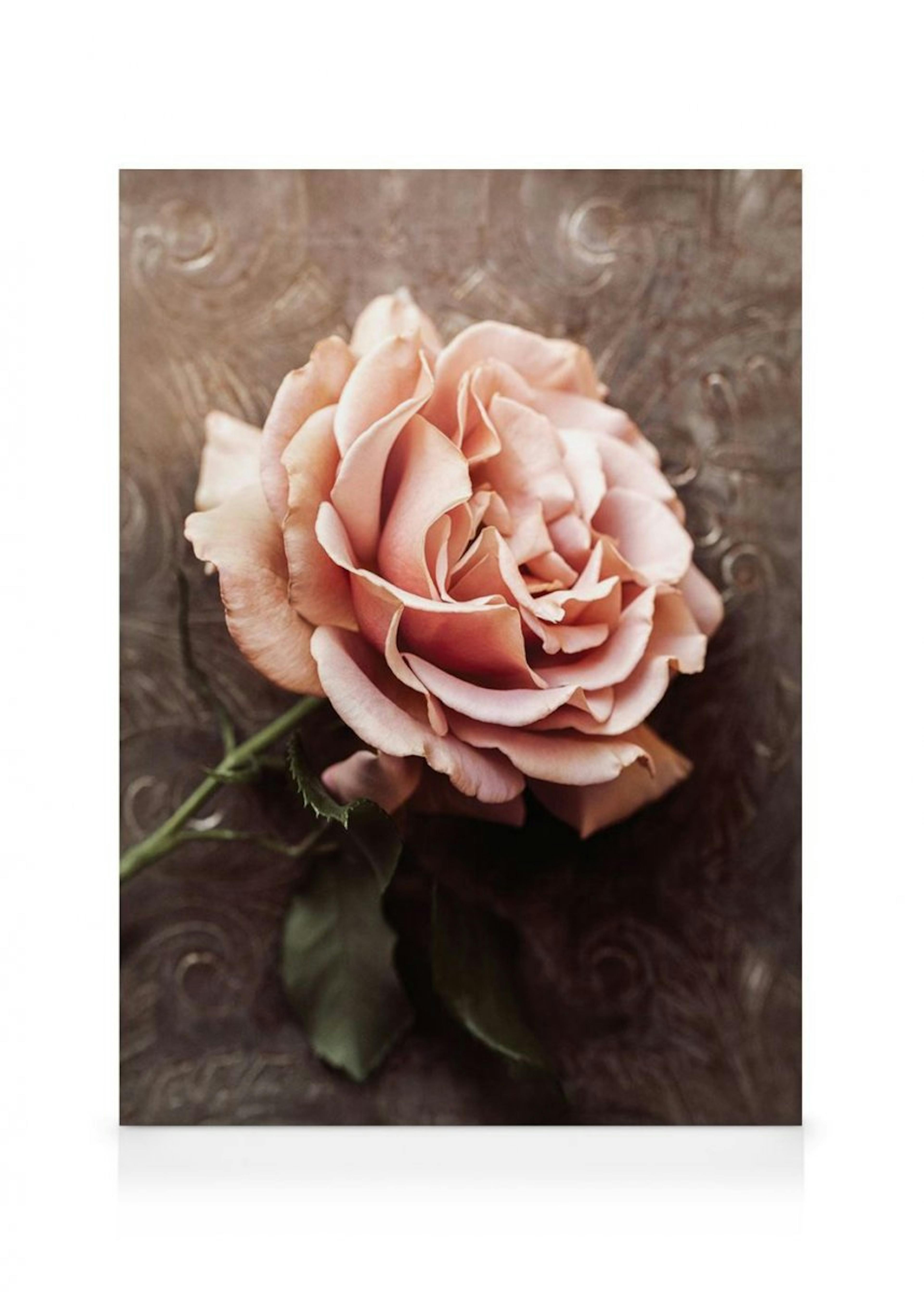 Pink Rose Canvas 0