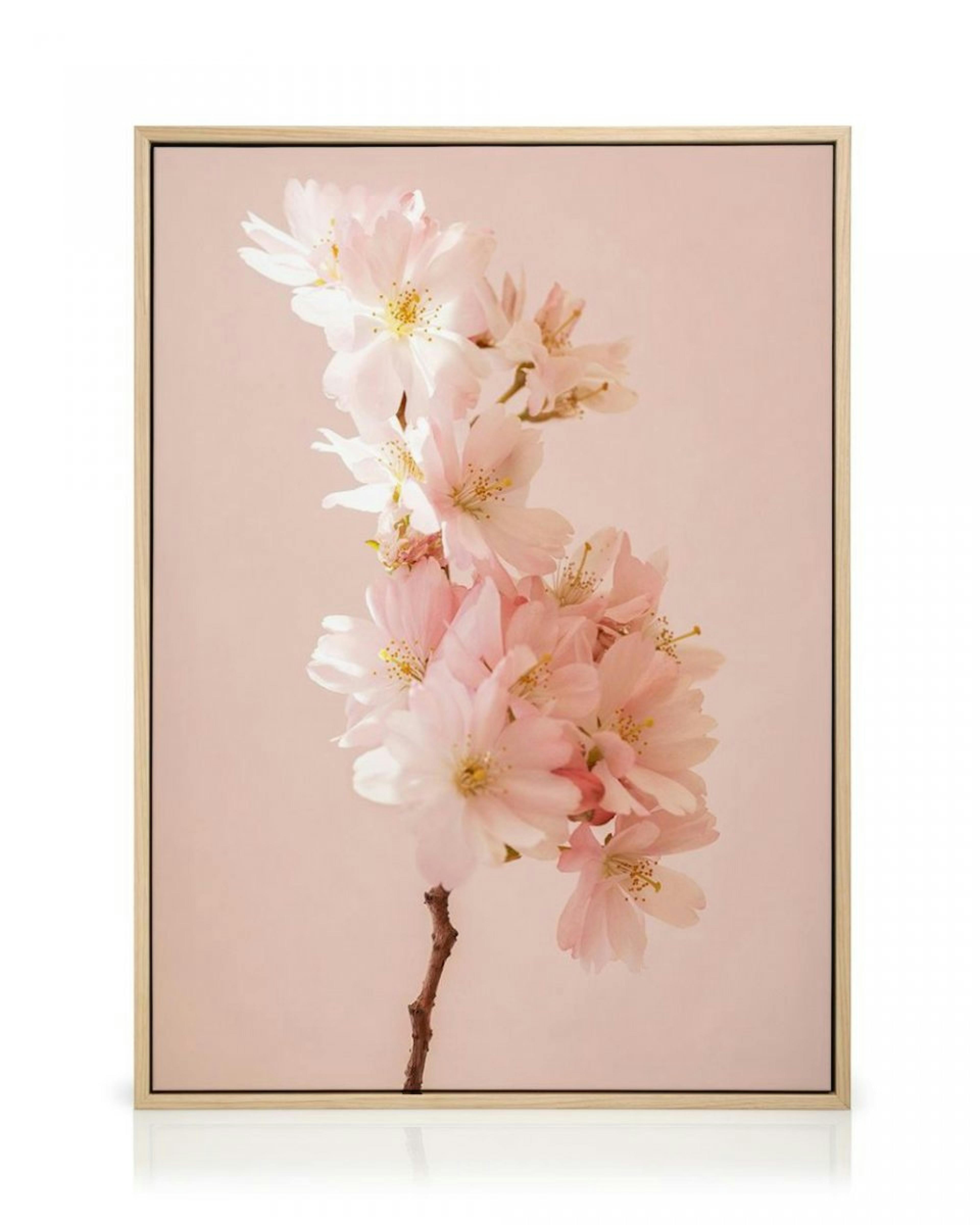 Romantic Cherry Blossom Canvas thumbnail