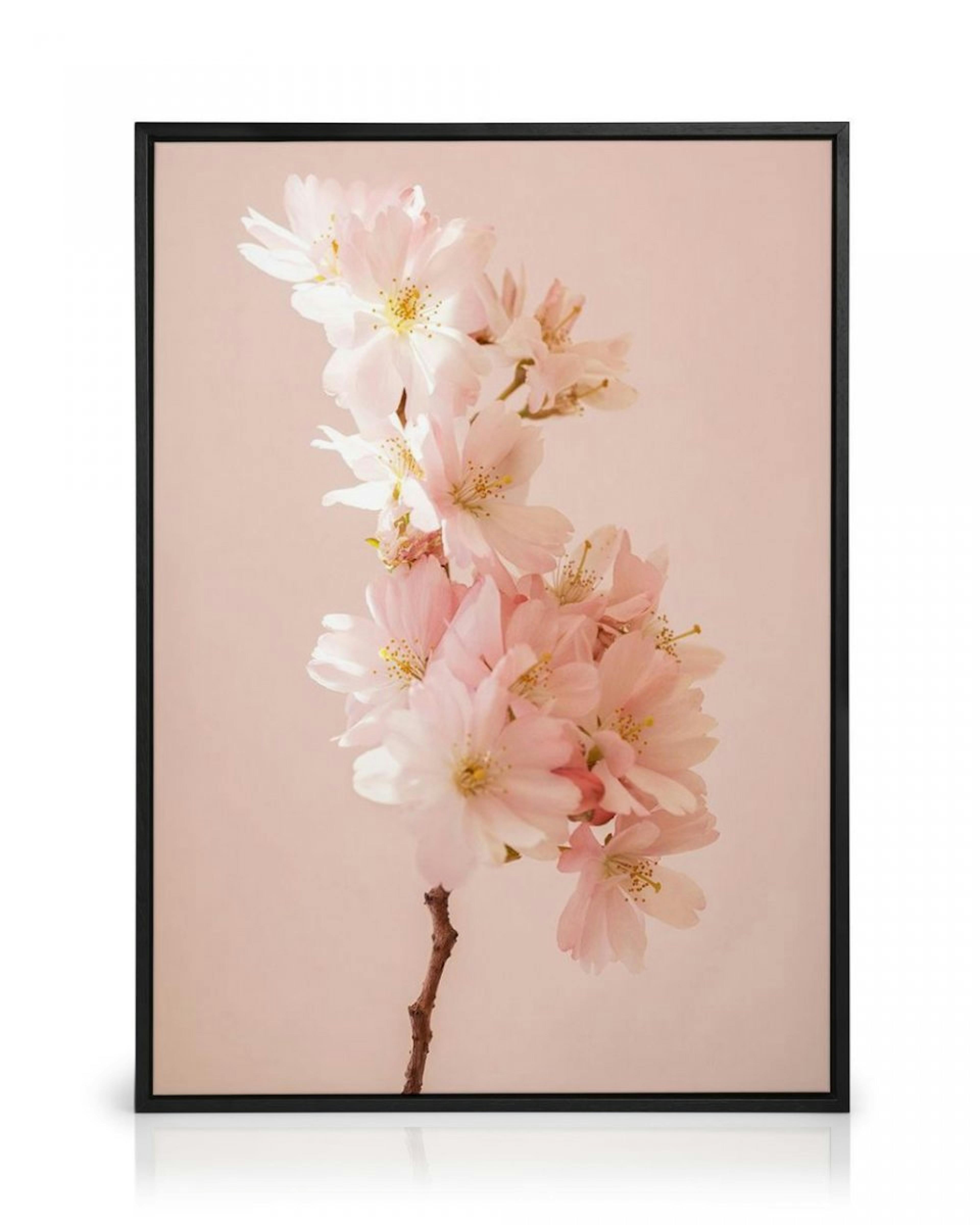 Romantic Cherry Blossom Canvas thumbnail