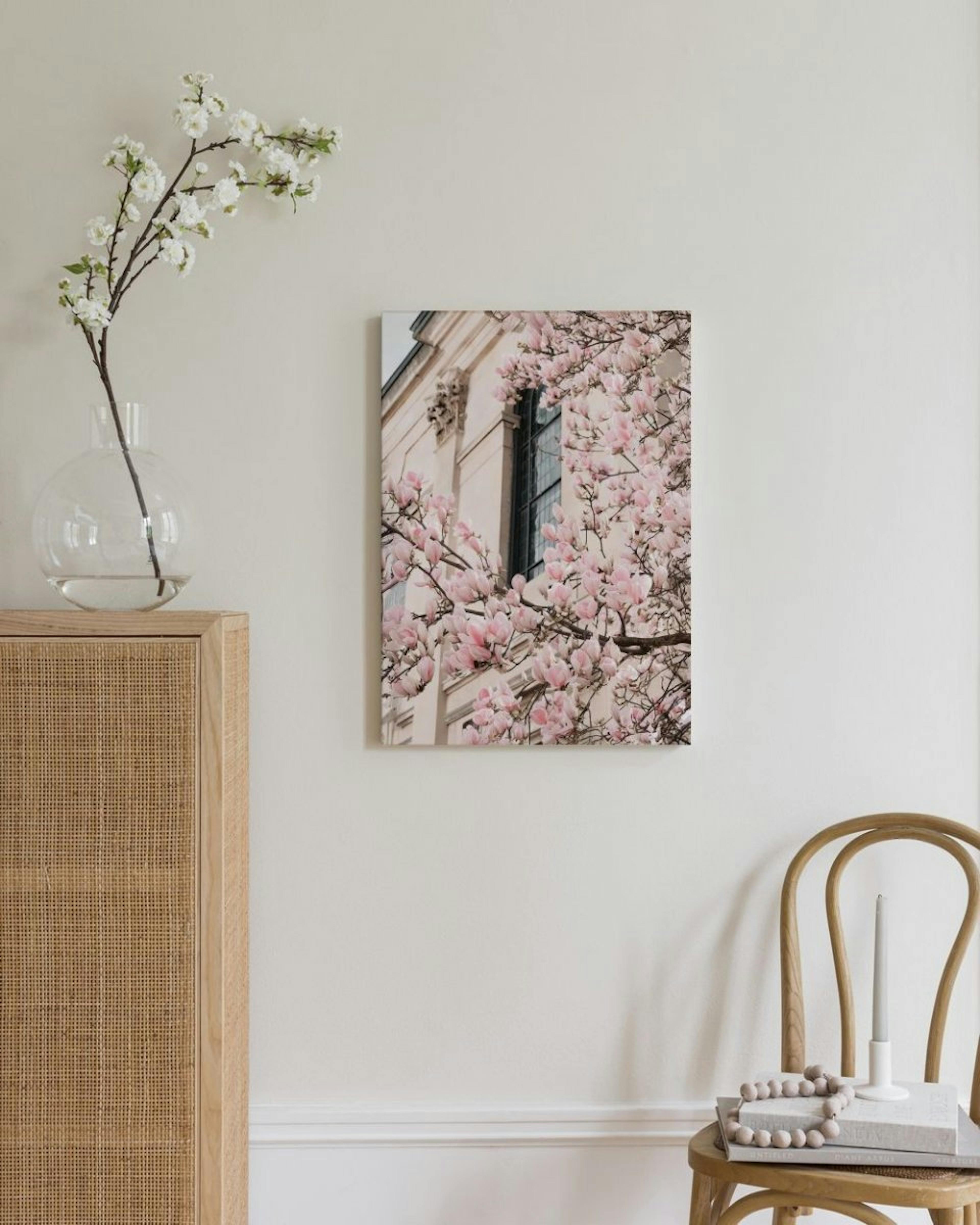 Pink Magnolia Blossom Canvas thumbnail