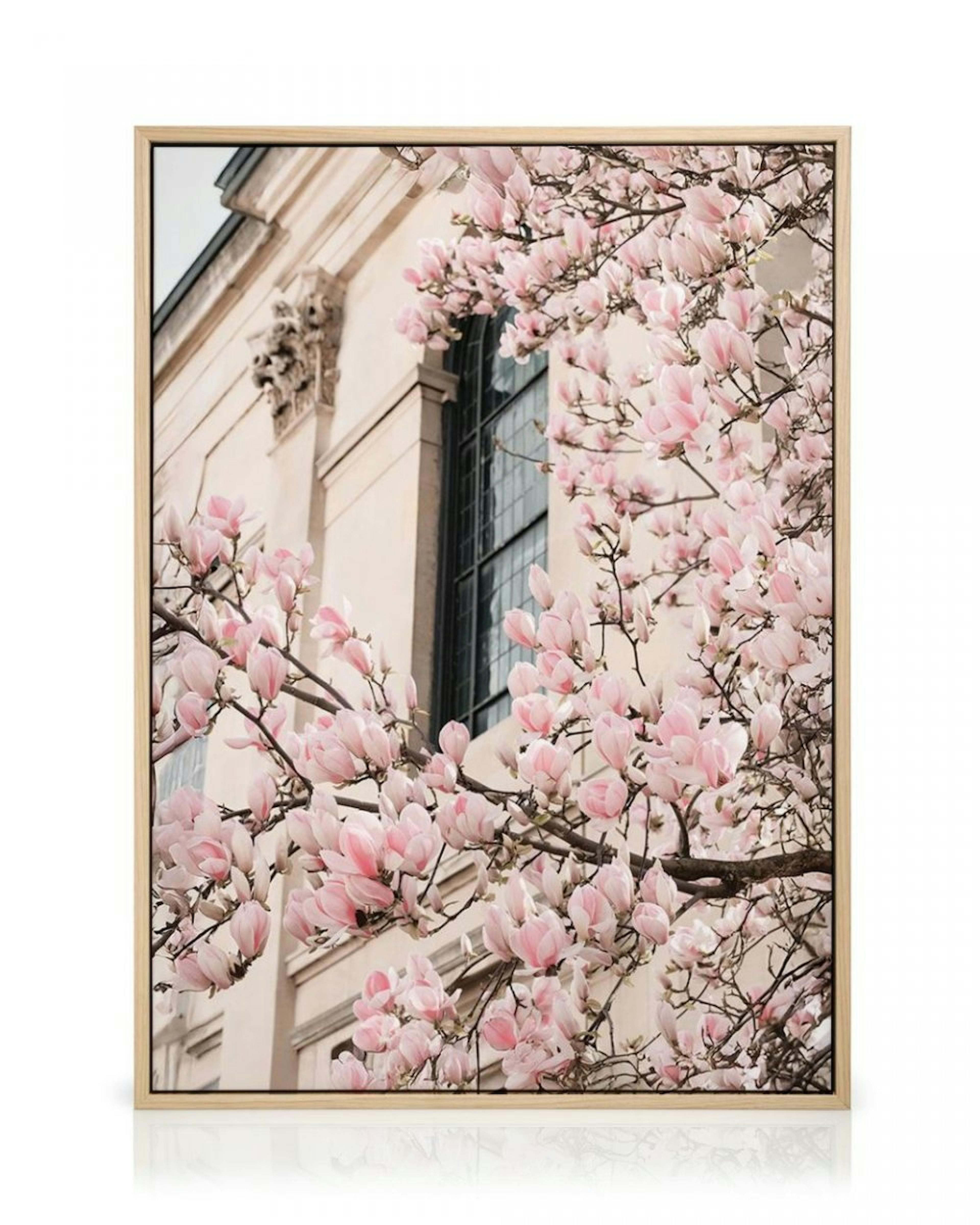 Pink Magnolia Blossom Canvas thumbnail