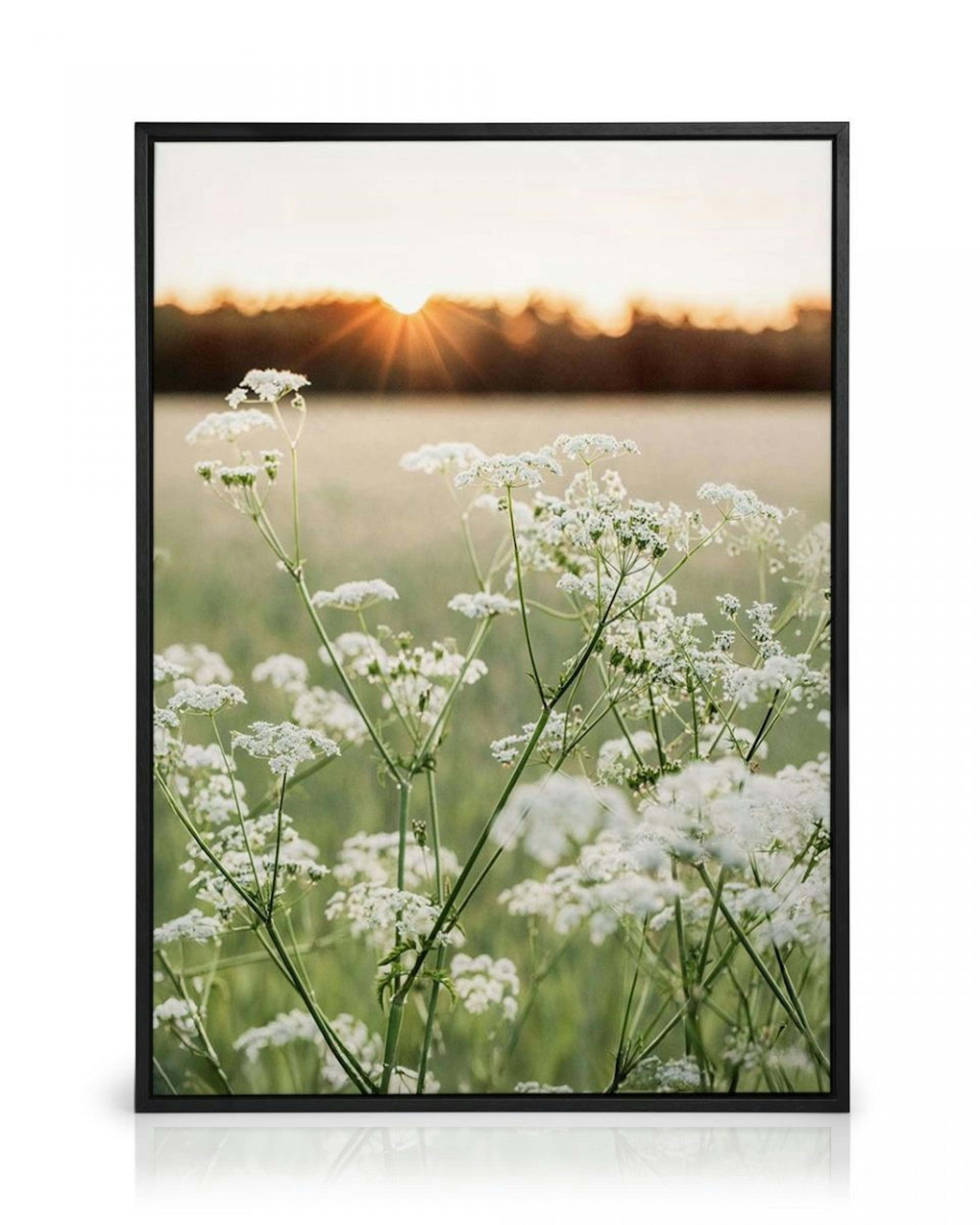 Wildflower Glow Canvas thumbnail