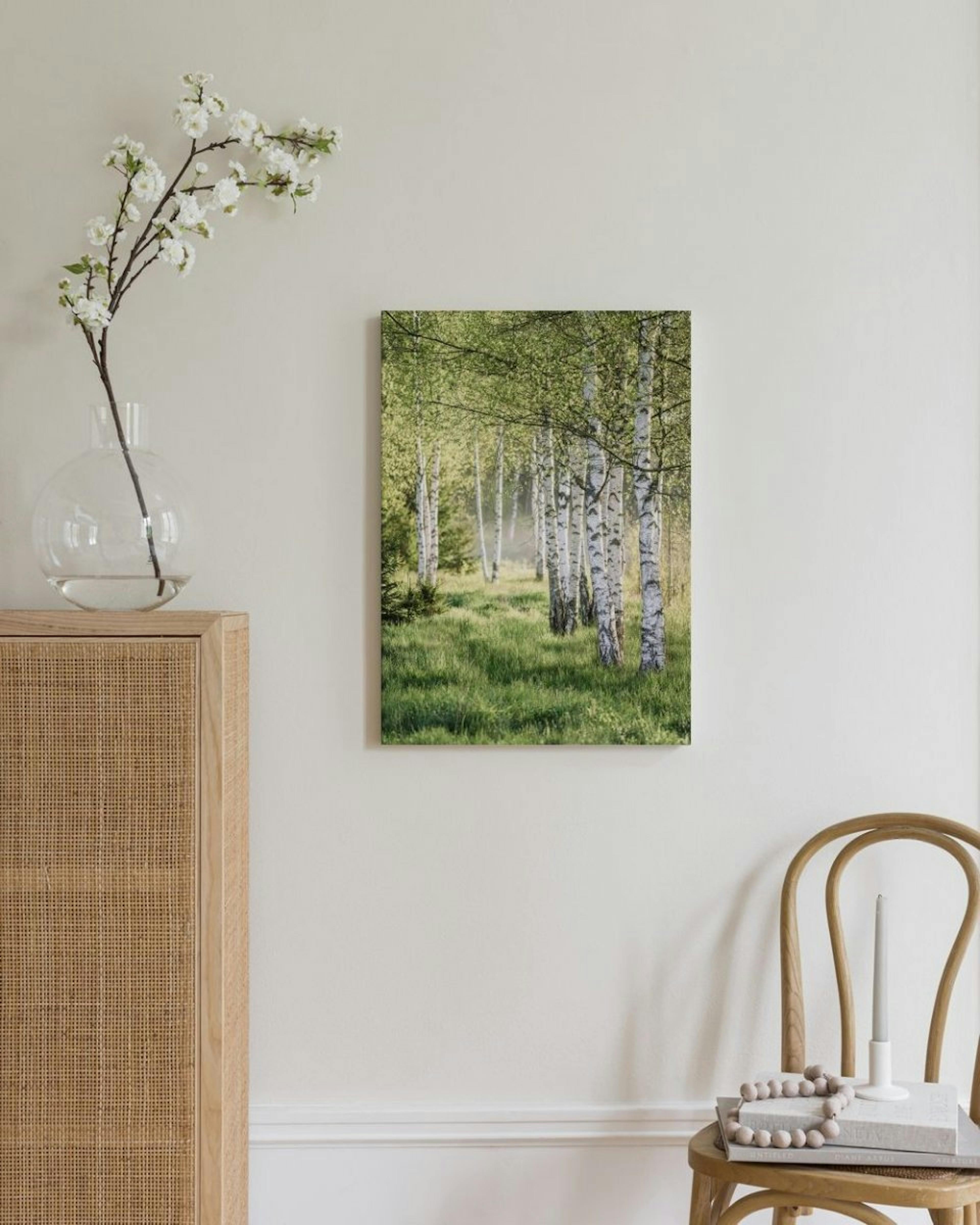 Spring Birch Forest Canvas thumbnail