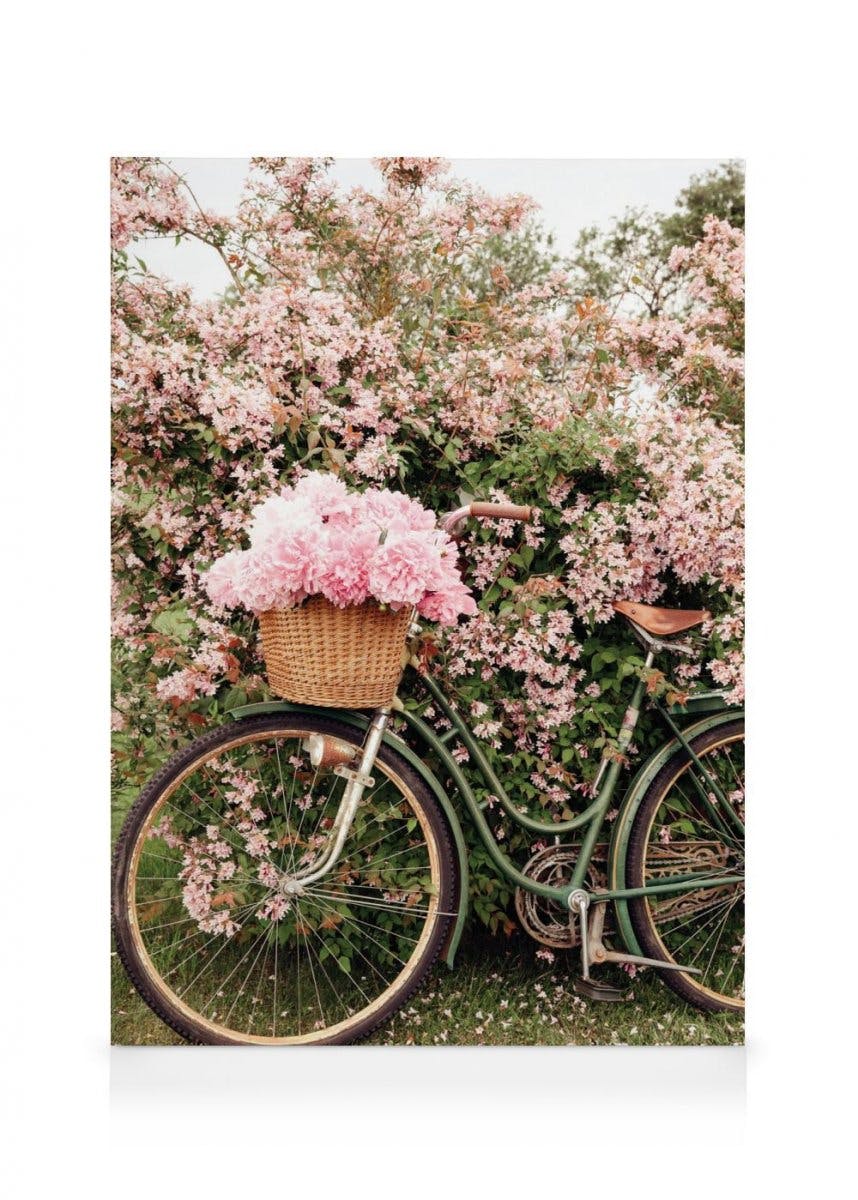 Canvastavlor - Bike in Blossom Canvastavla (30x40 cm) - Poster Store