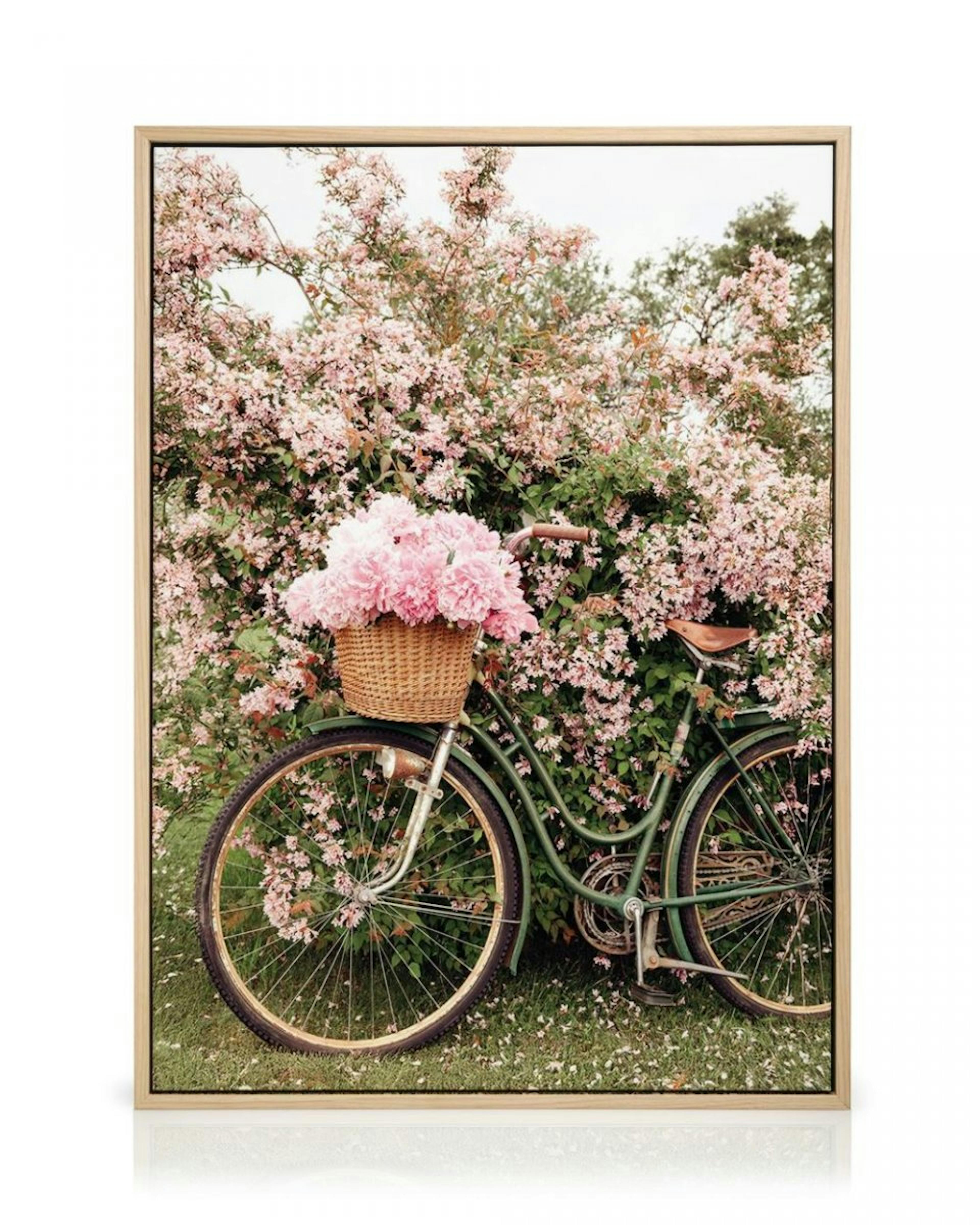 Bike in Blossom Canvas thumbnail