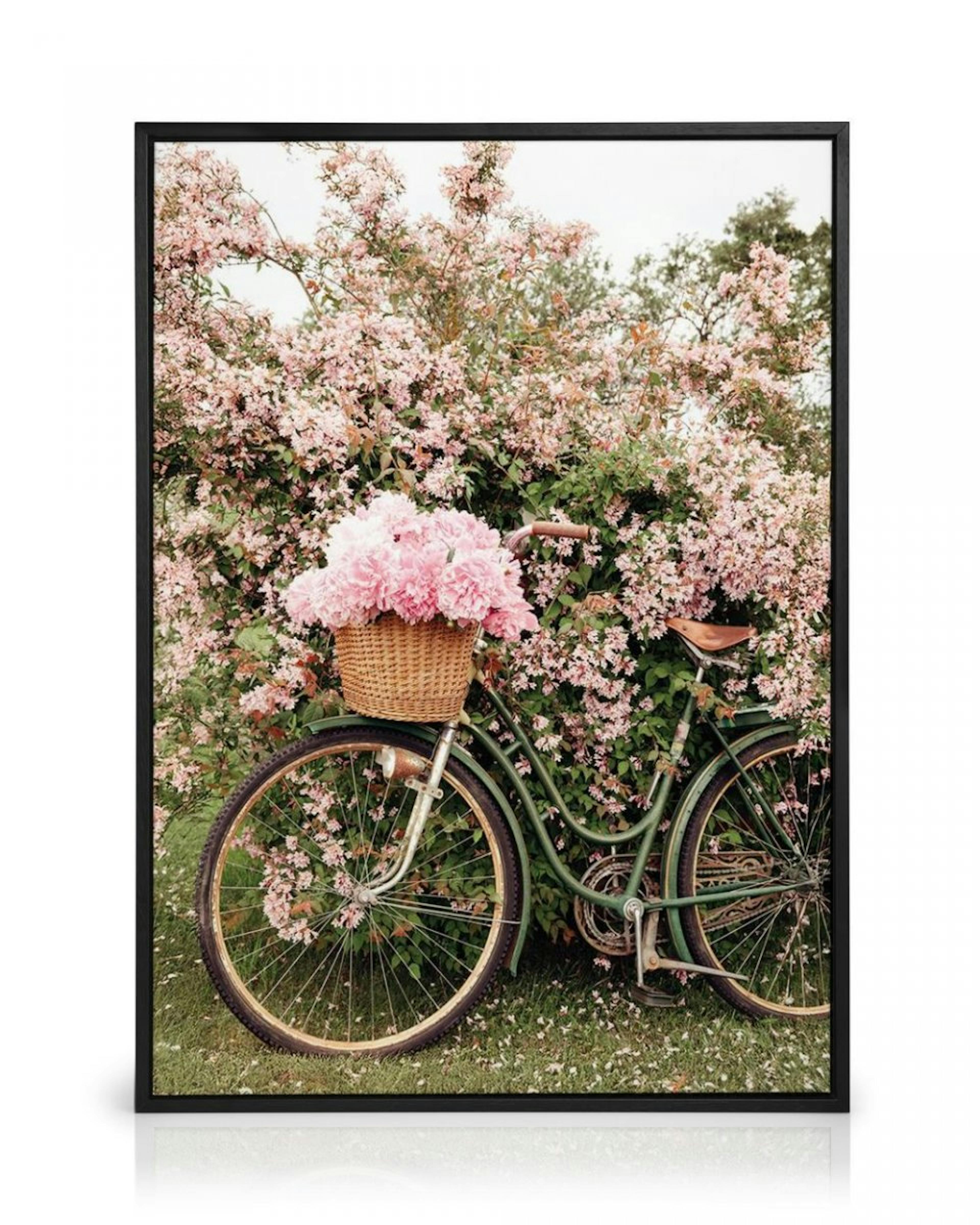 Bike in Blossom Canvas thumbnail