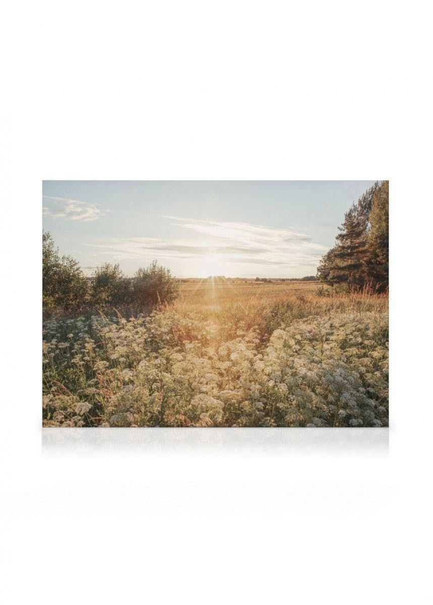 Gouden Weide Canvas (50x70 cm - Fotolijst Eiken) - Poster Store