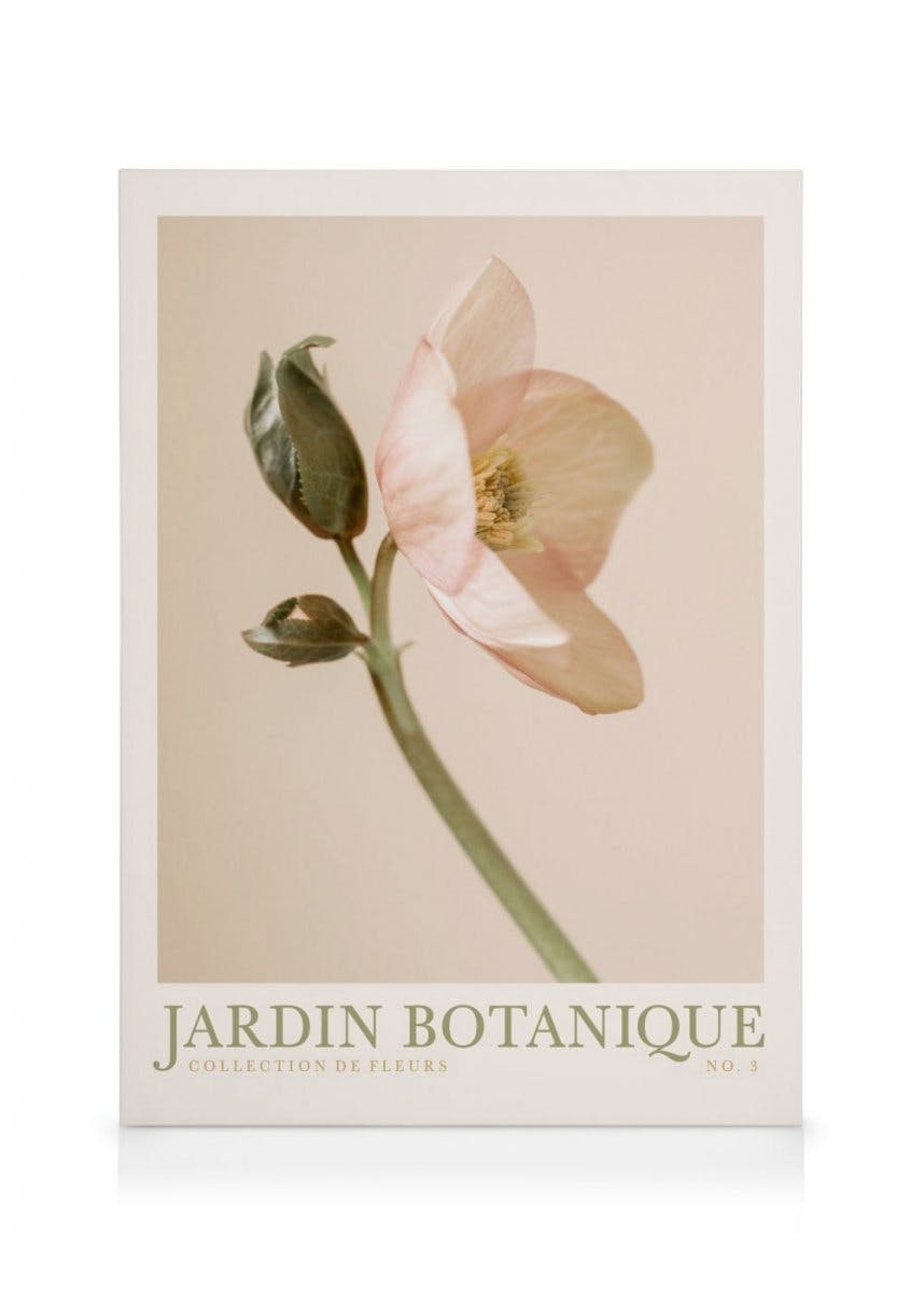 Jardin Botanique No3 Canvas (50x70 cm - Fotolijst Eiken) - Poster Store