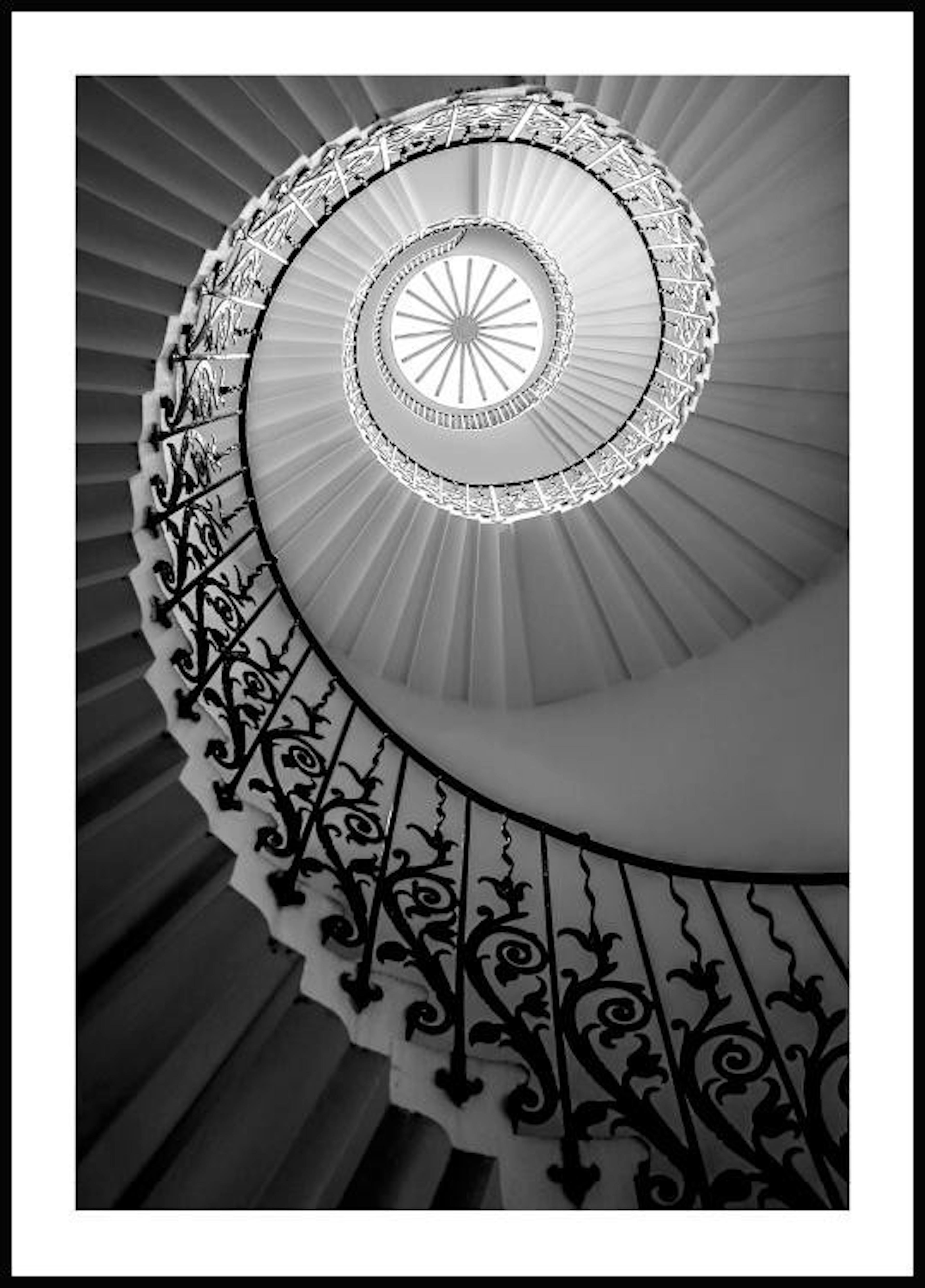 Escalera de Tulipán Póster 0