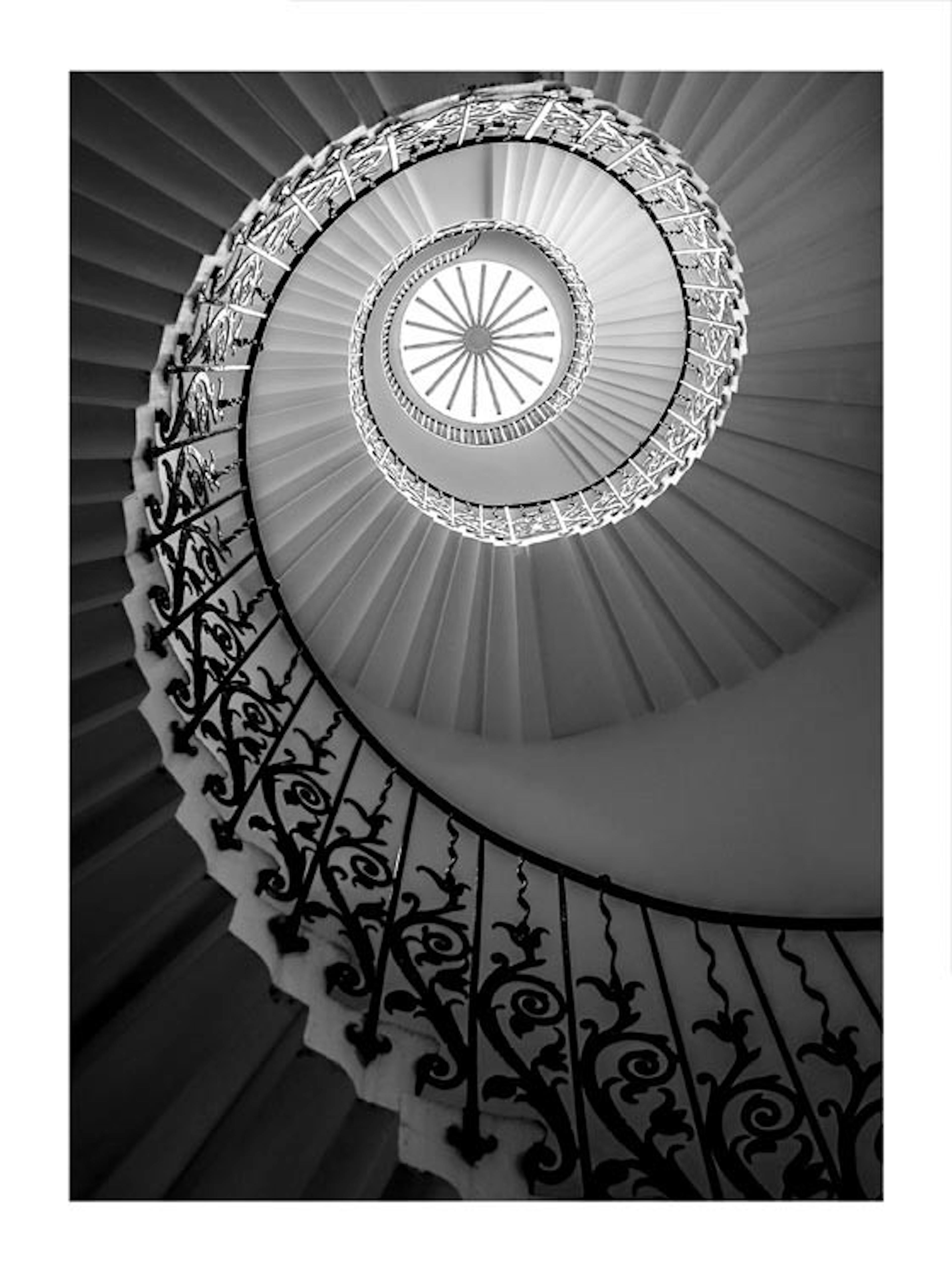 Tulip Stairs Poster 0