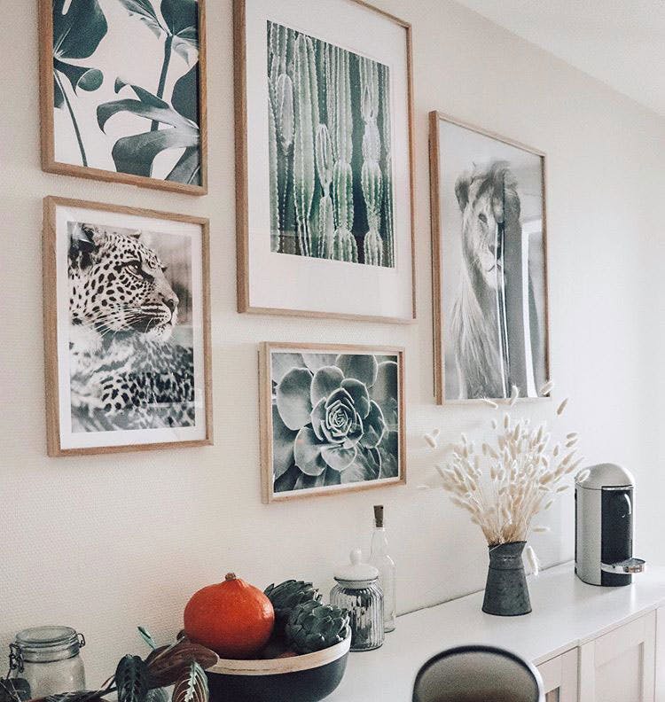 Beautiful nature posters and animal prints in oaken frames